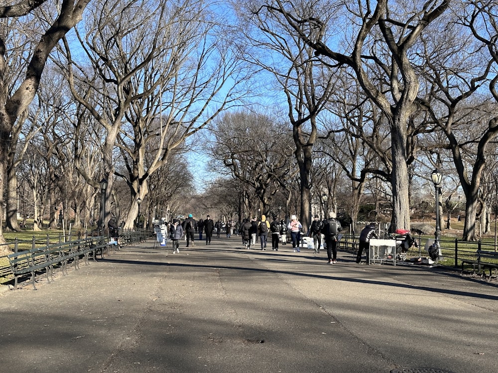 a group of people walking down a street lined with trees