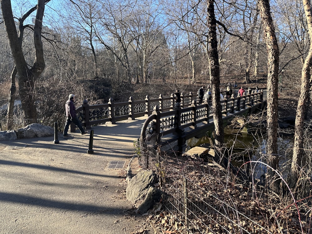 people walking across a bridge in the woods