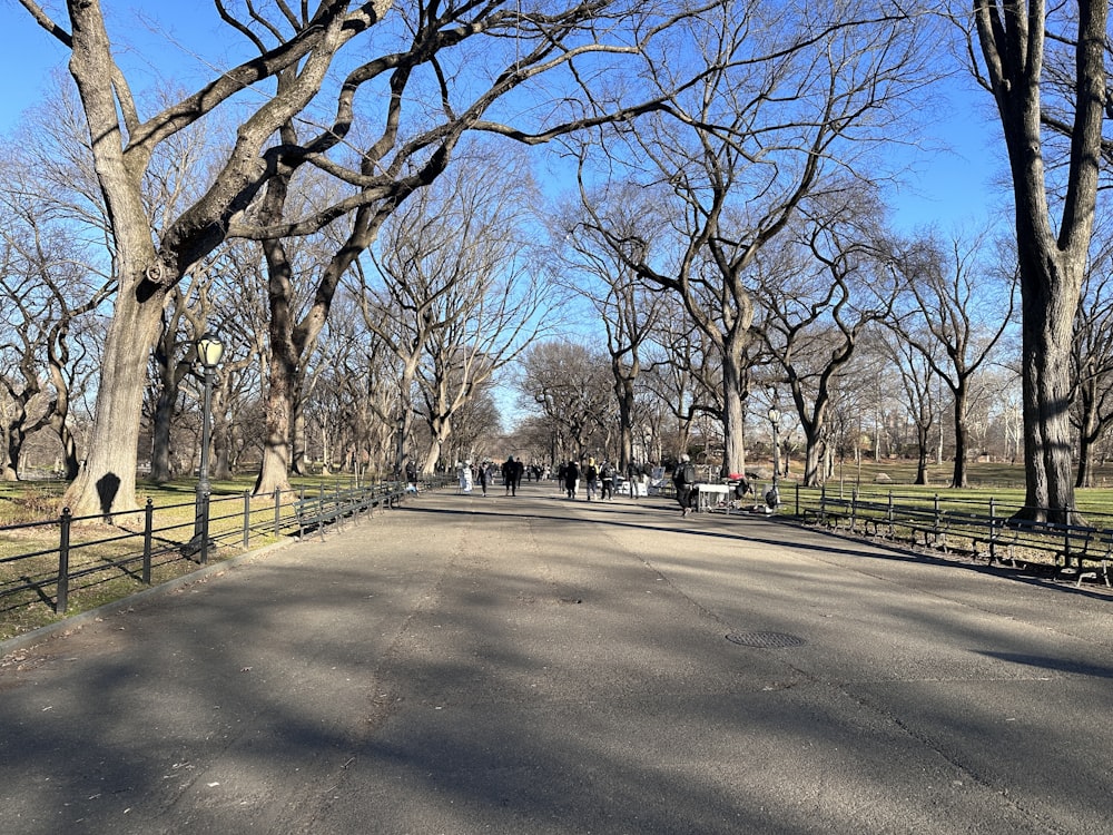 a group of people walking down a tree lined road