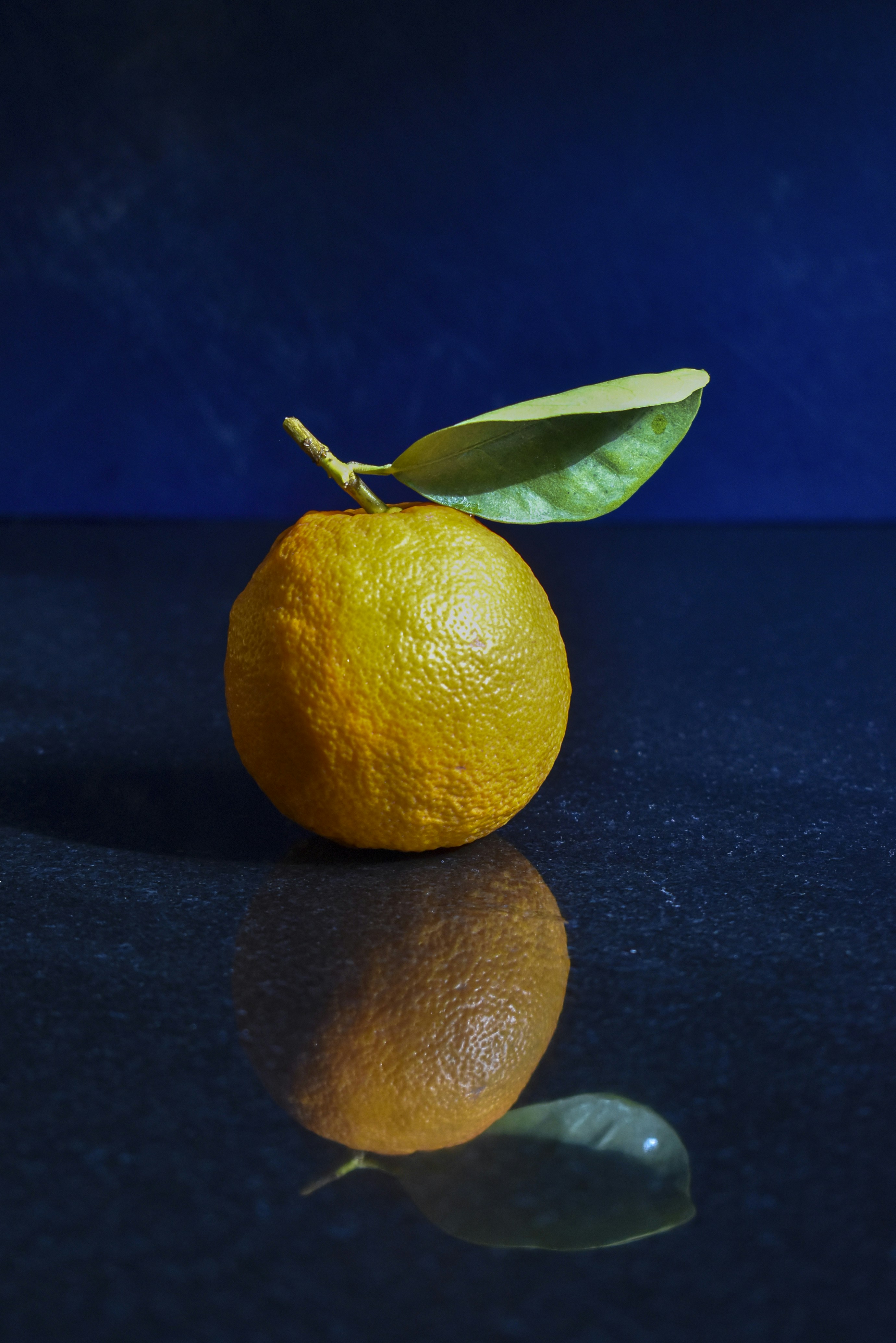 Photo by albaladejo_art