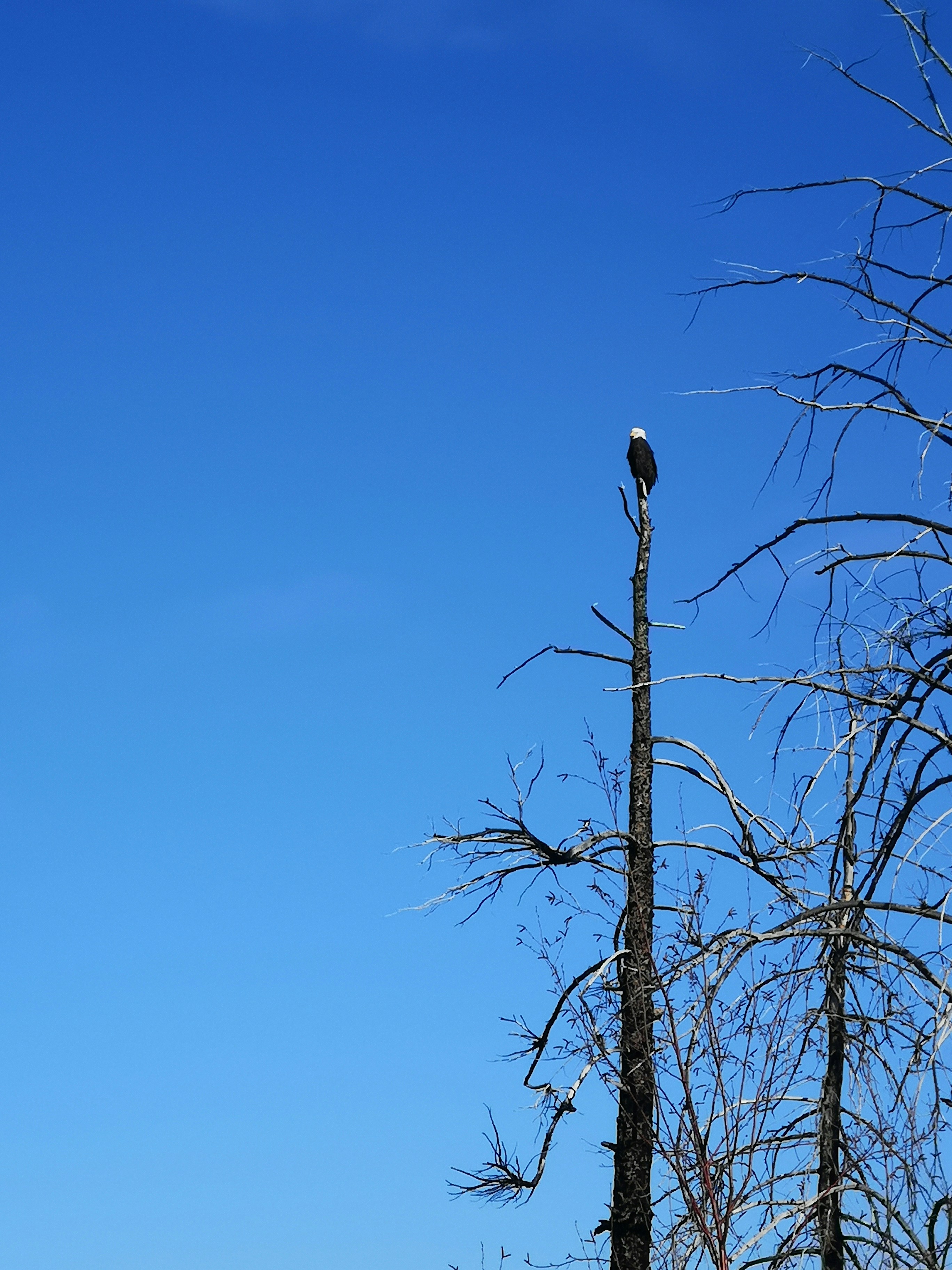 Photo by jonnydarkness