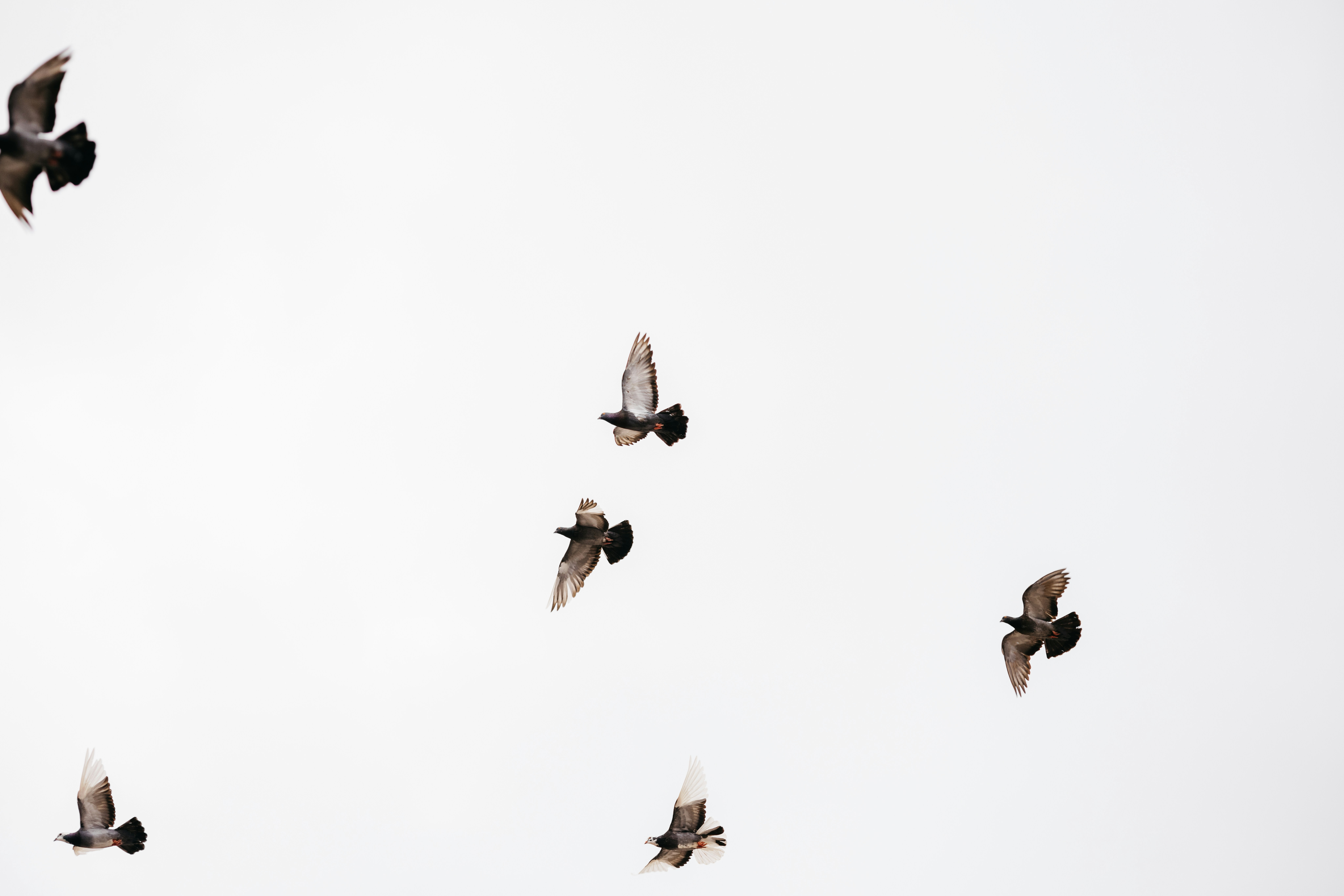 Photo by jonathanborba