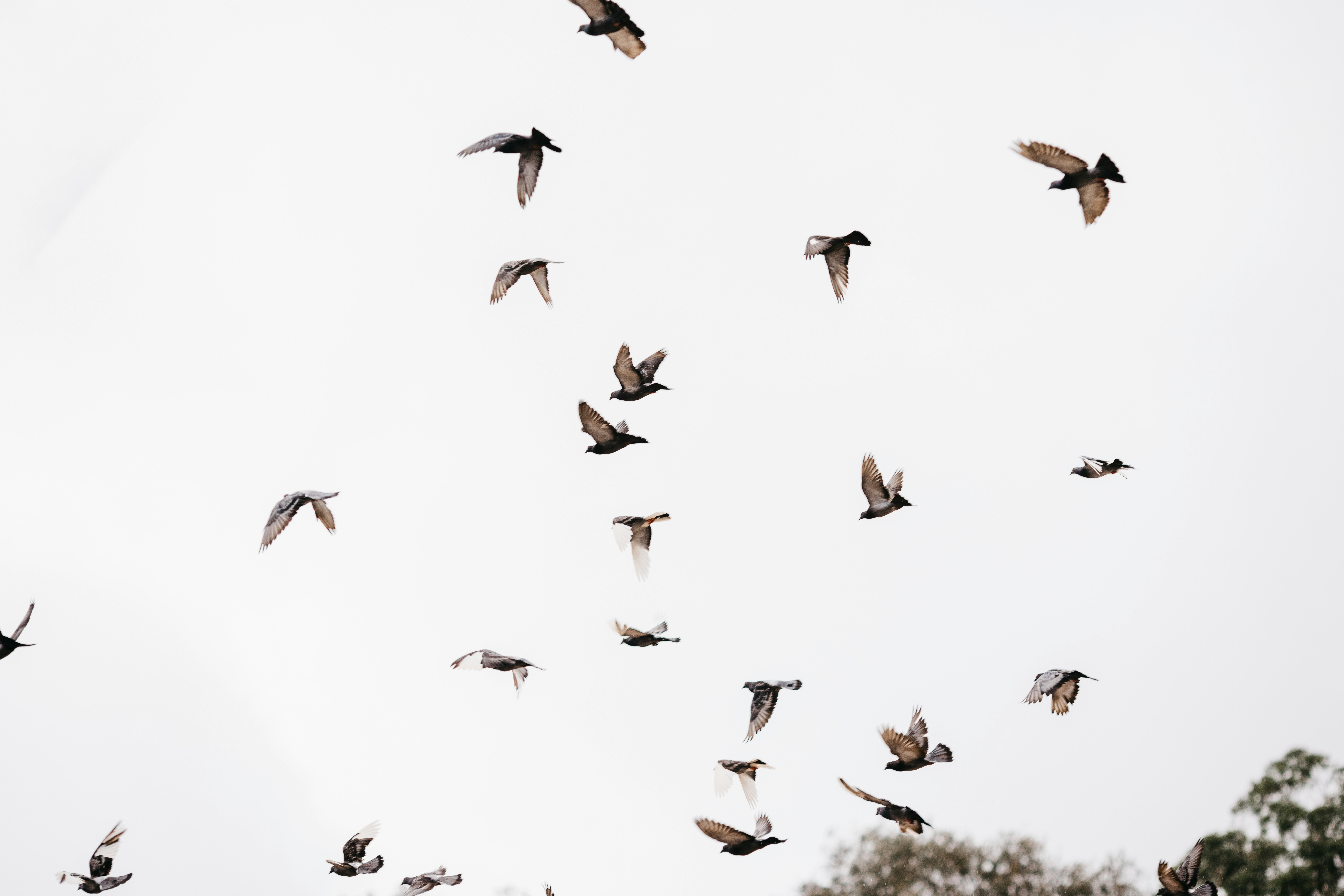 Photo by jonathanborba