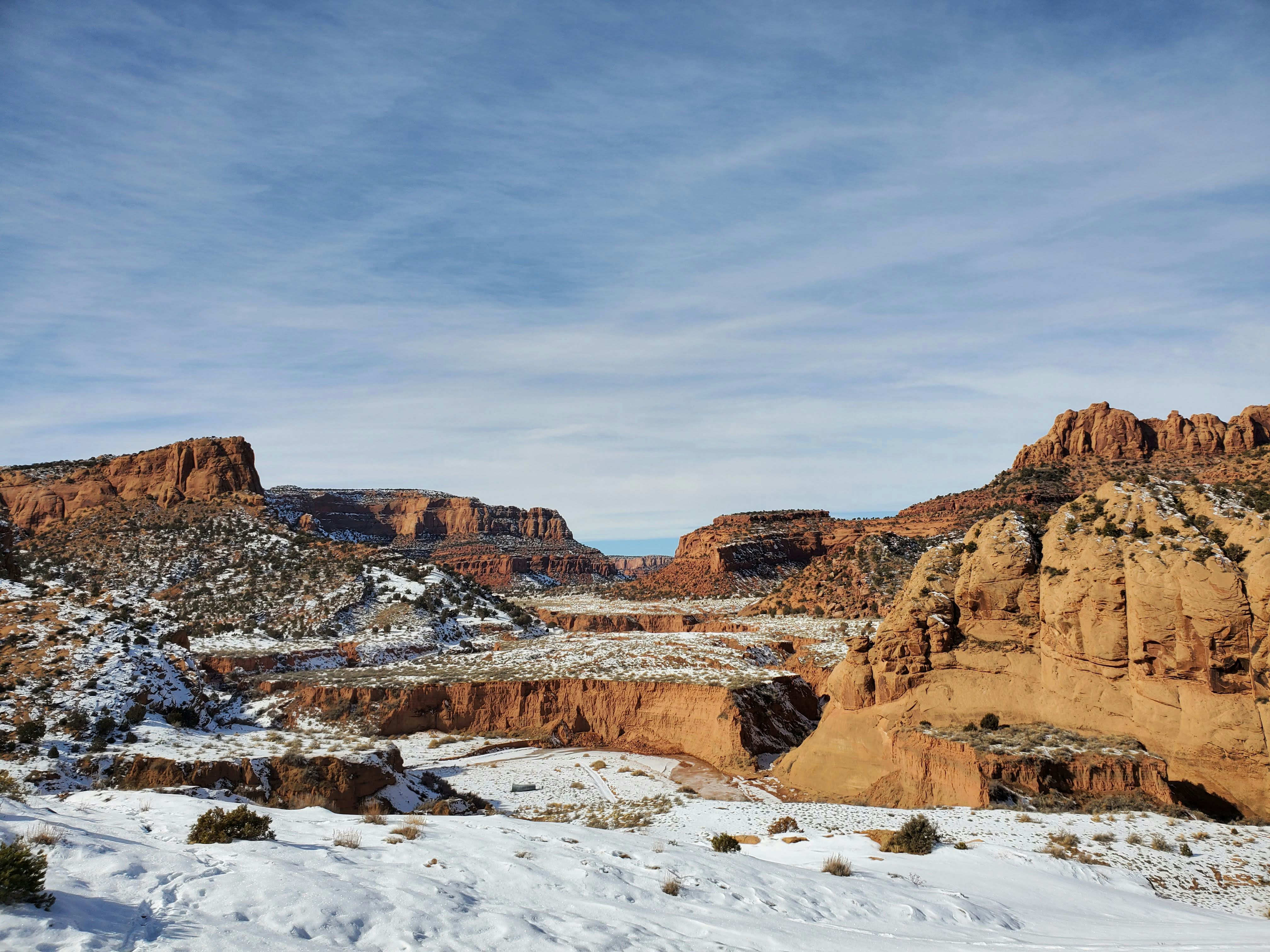 Photo by zoshuacolah