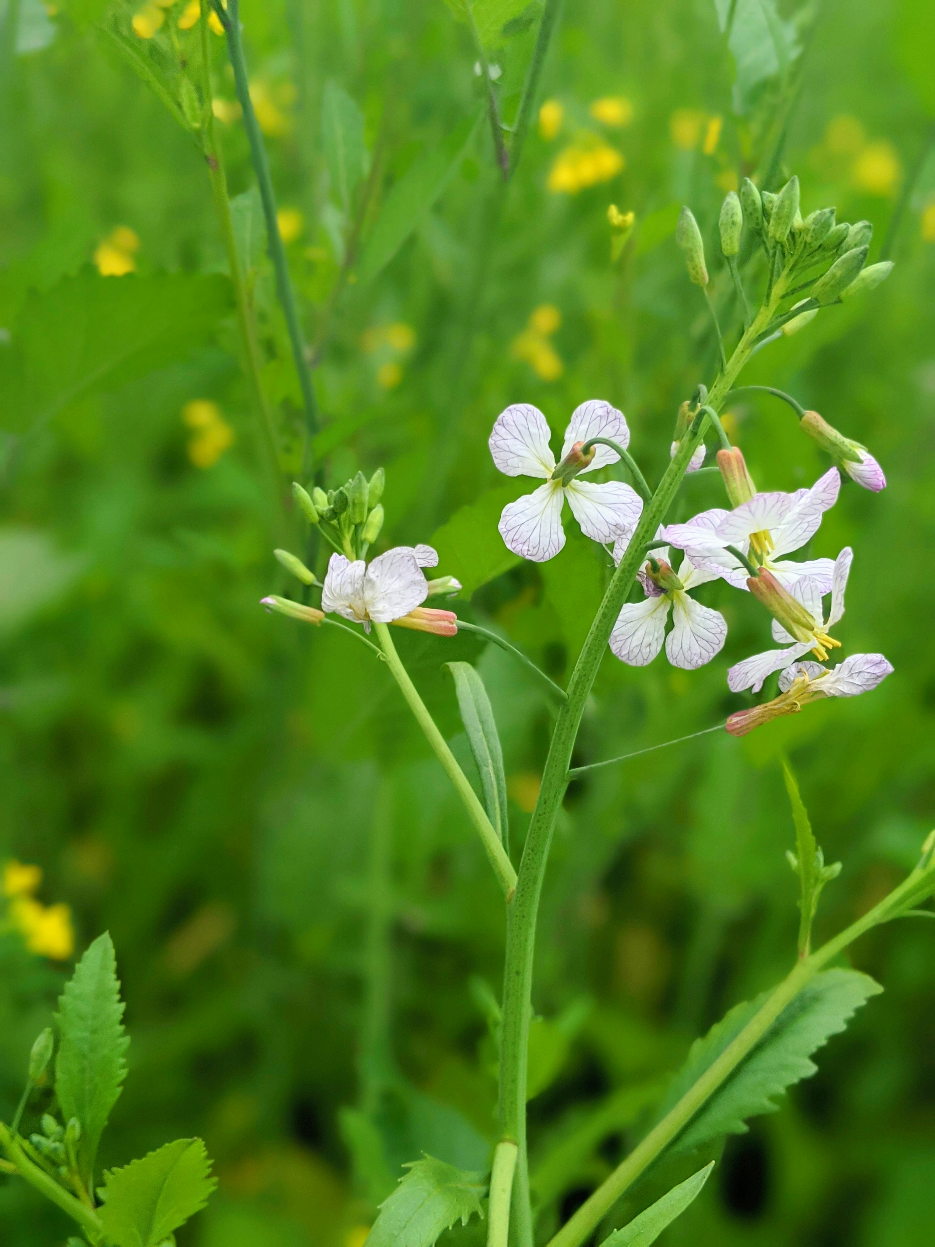 Photo by zaibedit007