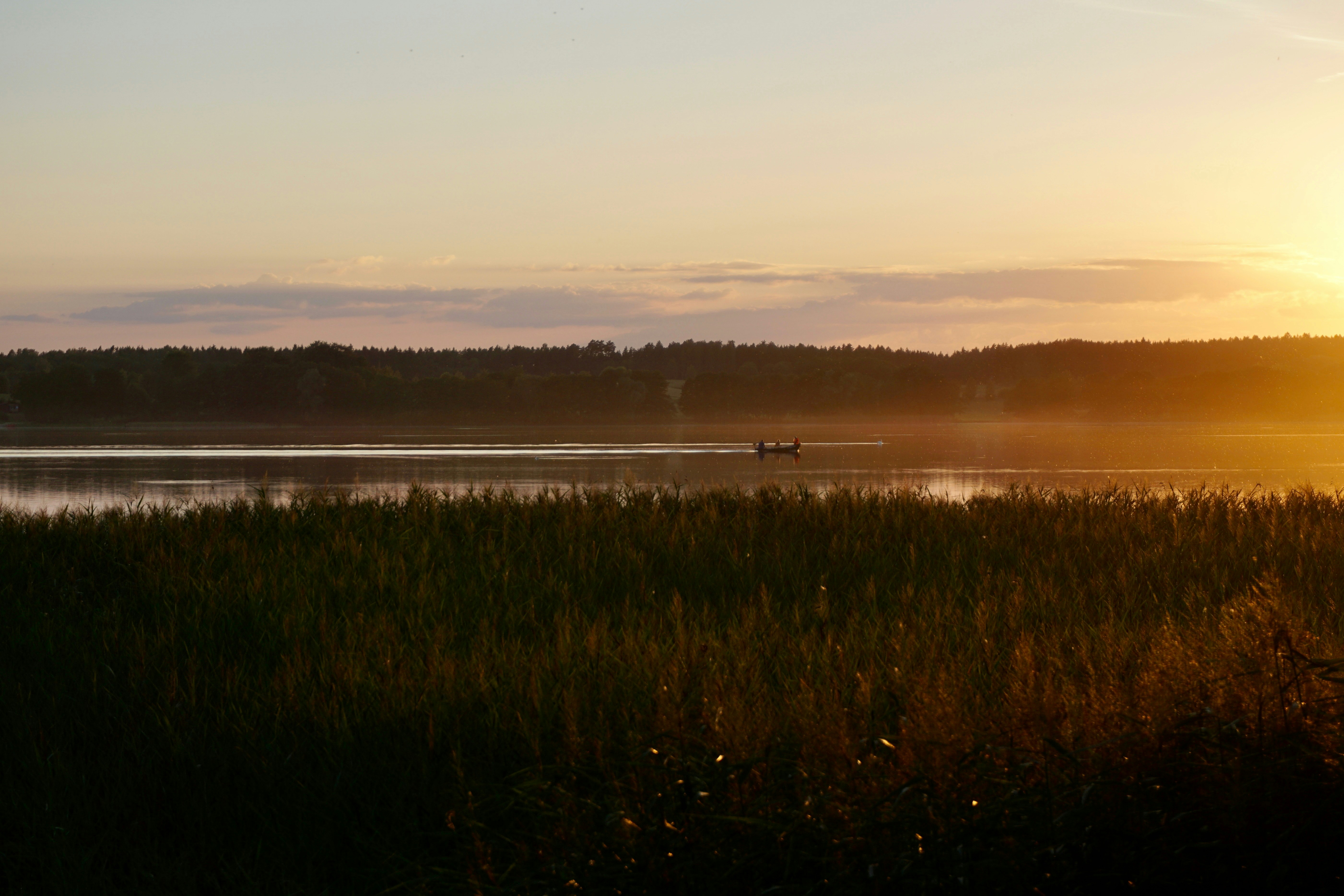 Photo by michalksiazek