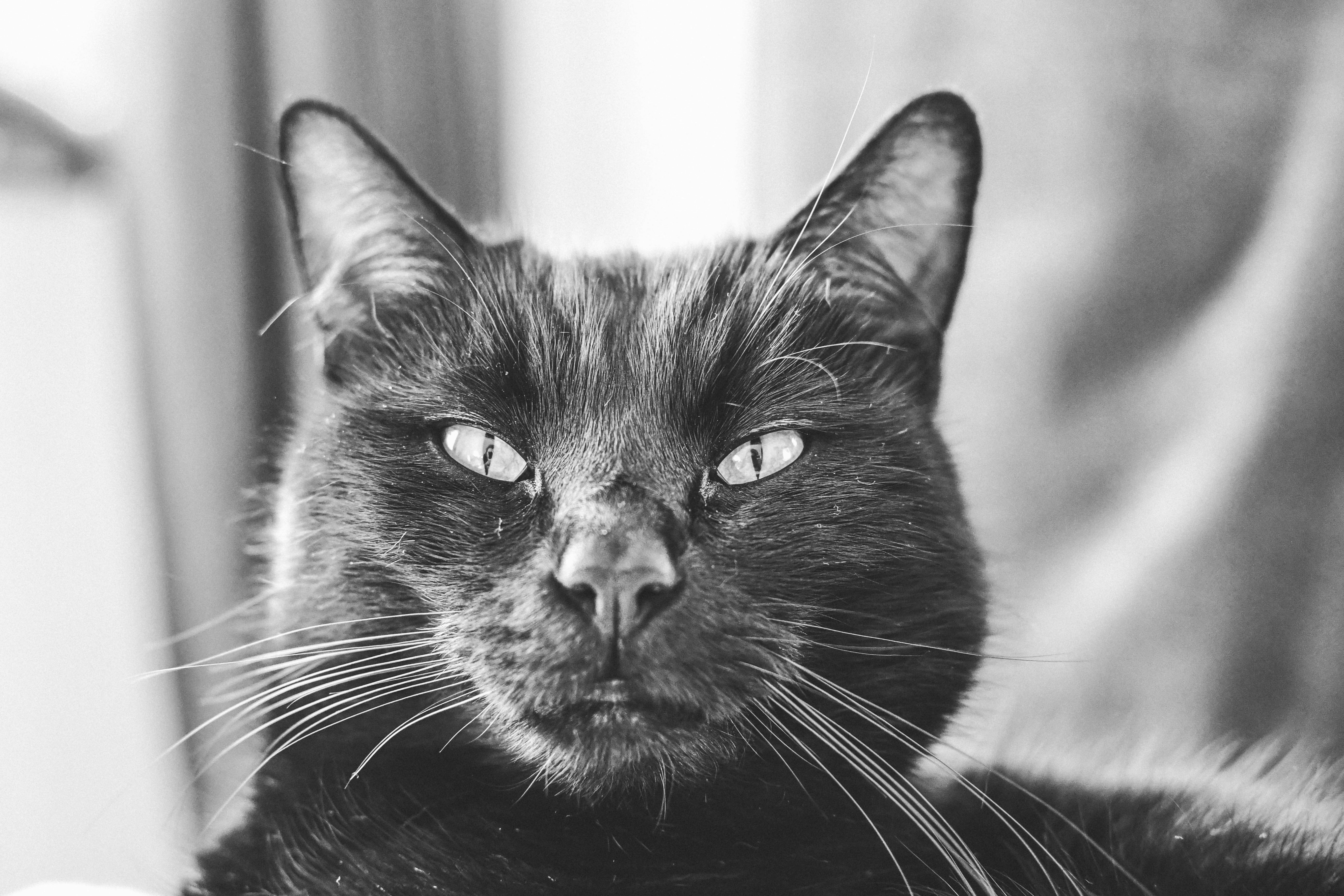 Photo by elisefarrow