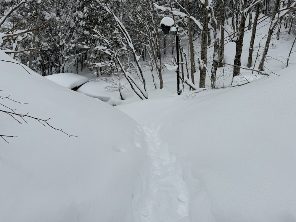 a person riding skis down a snow covered slope