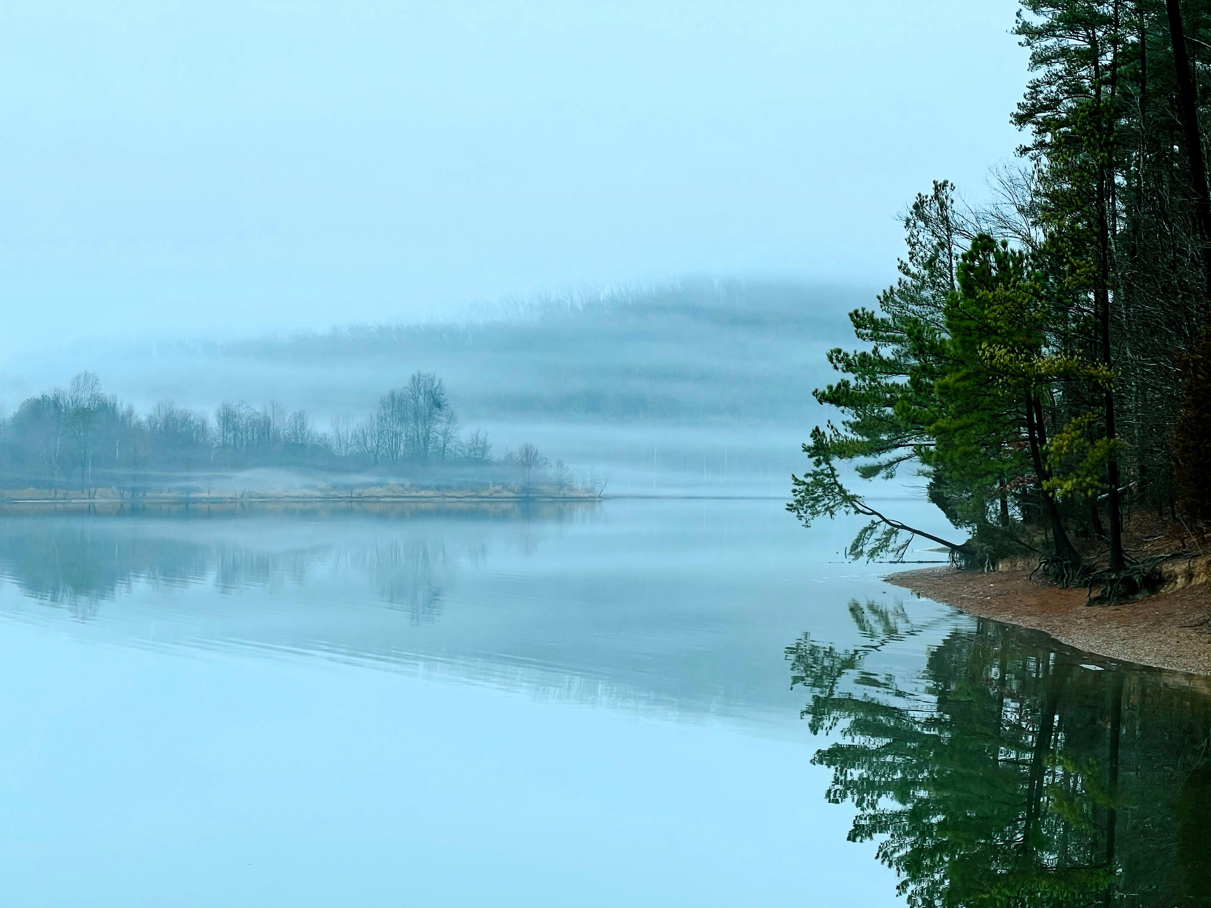 A body of water surrounded by trees on a foggy day photo Free