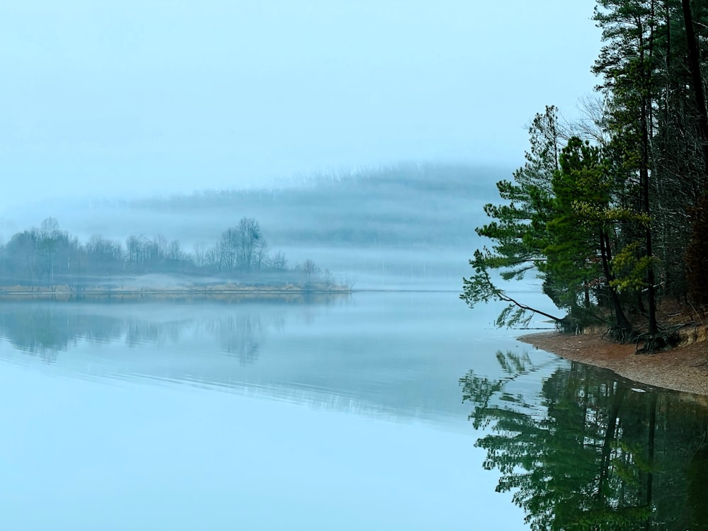 a body of water surrounded by trees on a foggy day