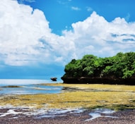 a body of water surrounded by trees and rocks