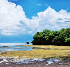 a body of water surrounded by trees and rocks