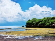 a body of water surrounded by trees and rocks