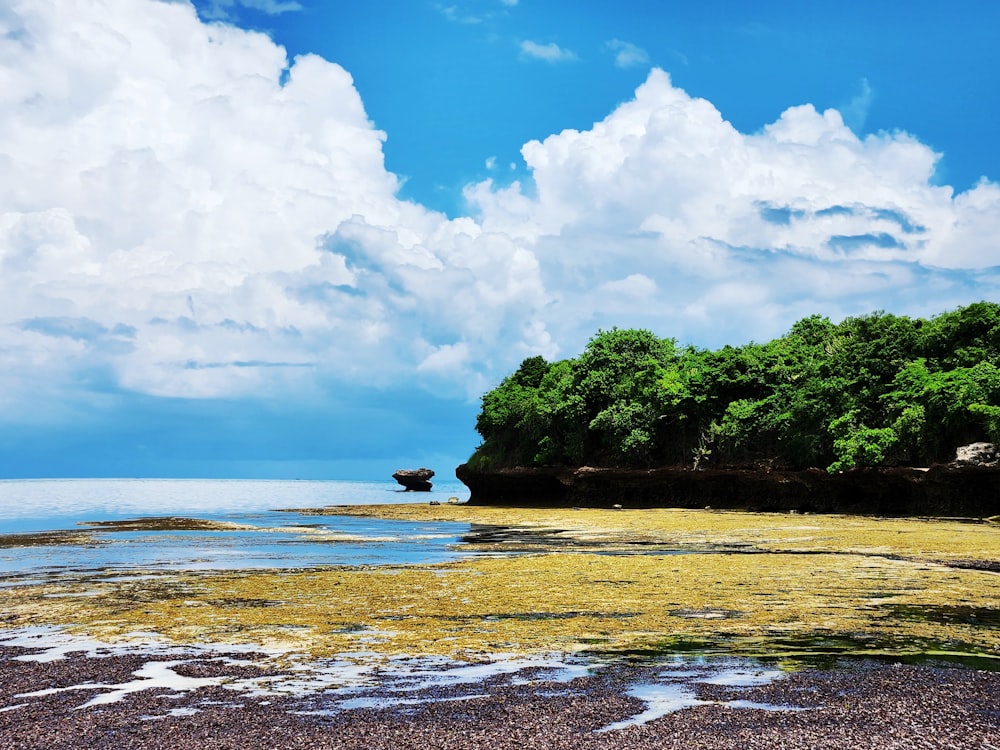 a body of water surrounded by trees and rocks