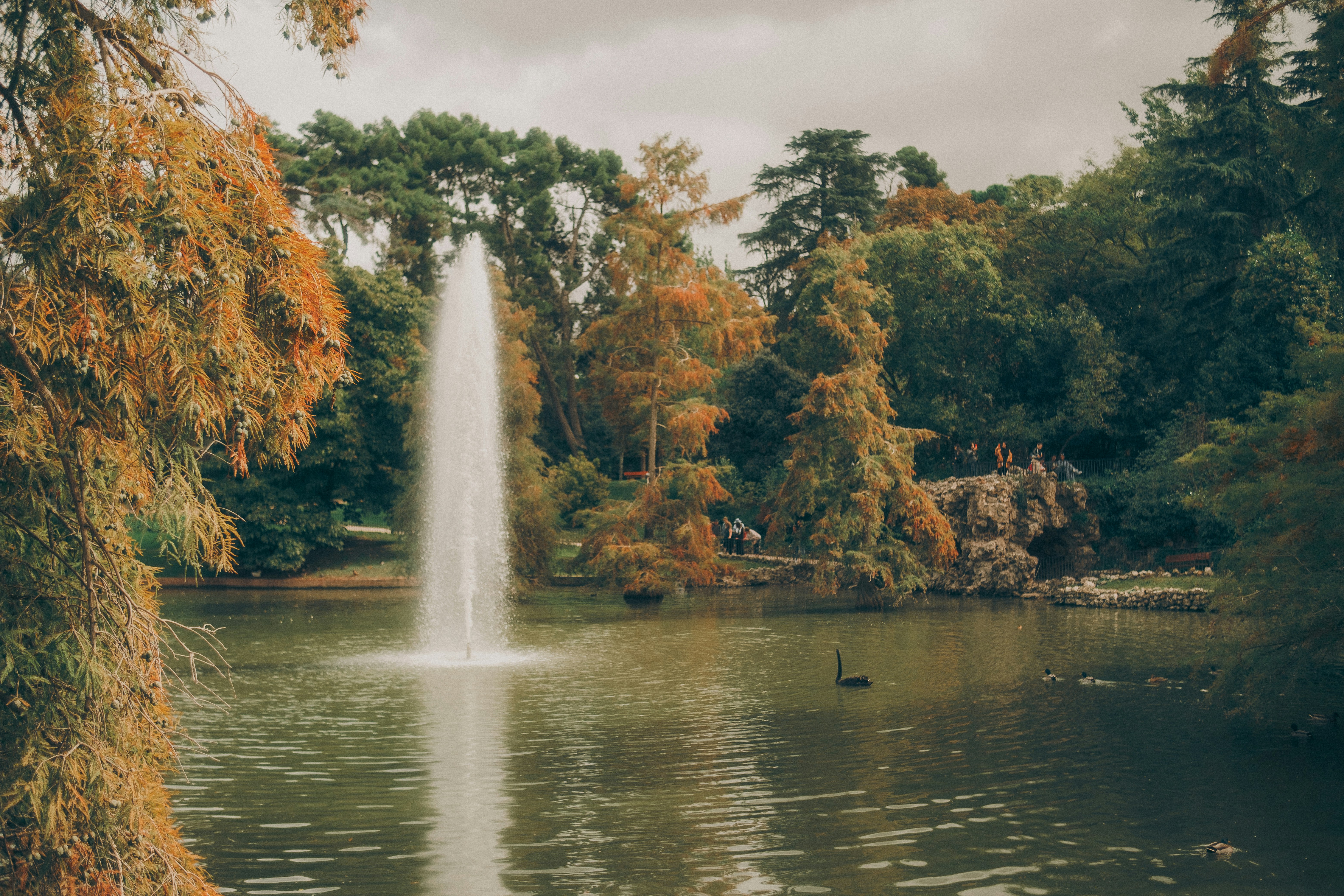Nature produces the most astoundingly beautiful images: the swirling lava of a volcano, palm trees against a blue sky, snow-capped mountains towering above. Unsplash has magnificent , high-quality photos of all the delights that nature has to offer.