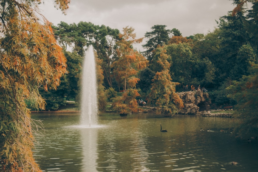 ein Teich mit einem Springbrunnen, umgeben von Bäumen