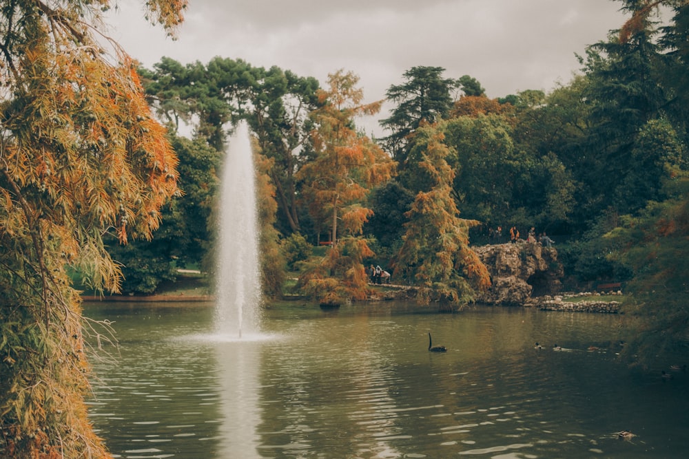 a pond with a fountain surrounded by trees