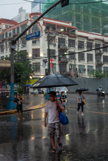 Pedestrians with umbrellas navigate a rainy city street.