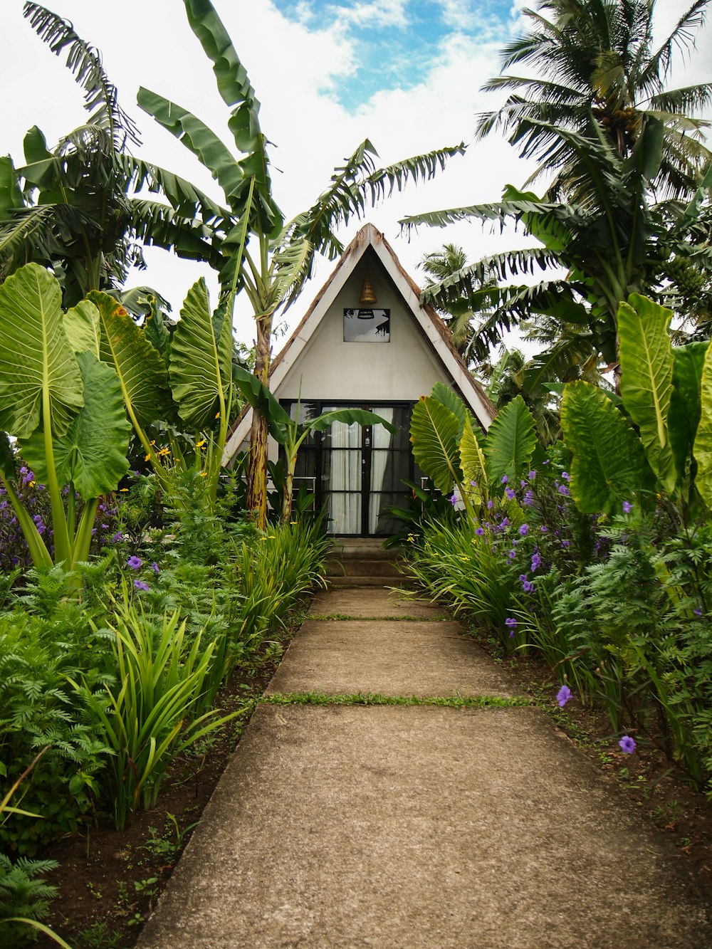 a house in the middle of a tropical garden