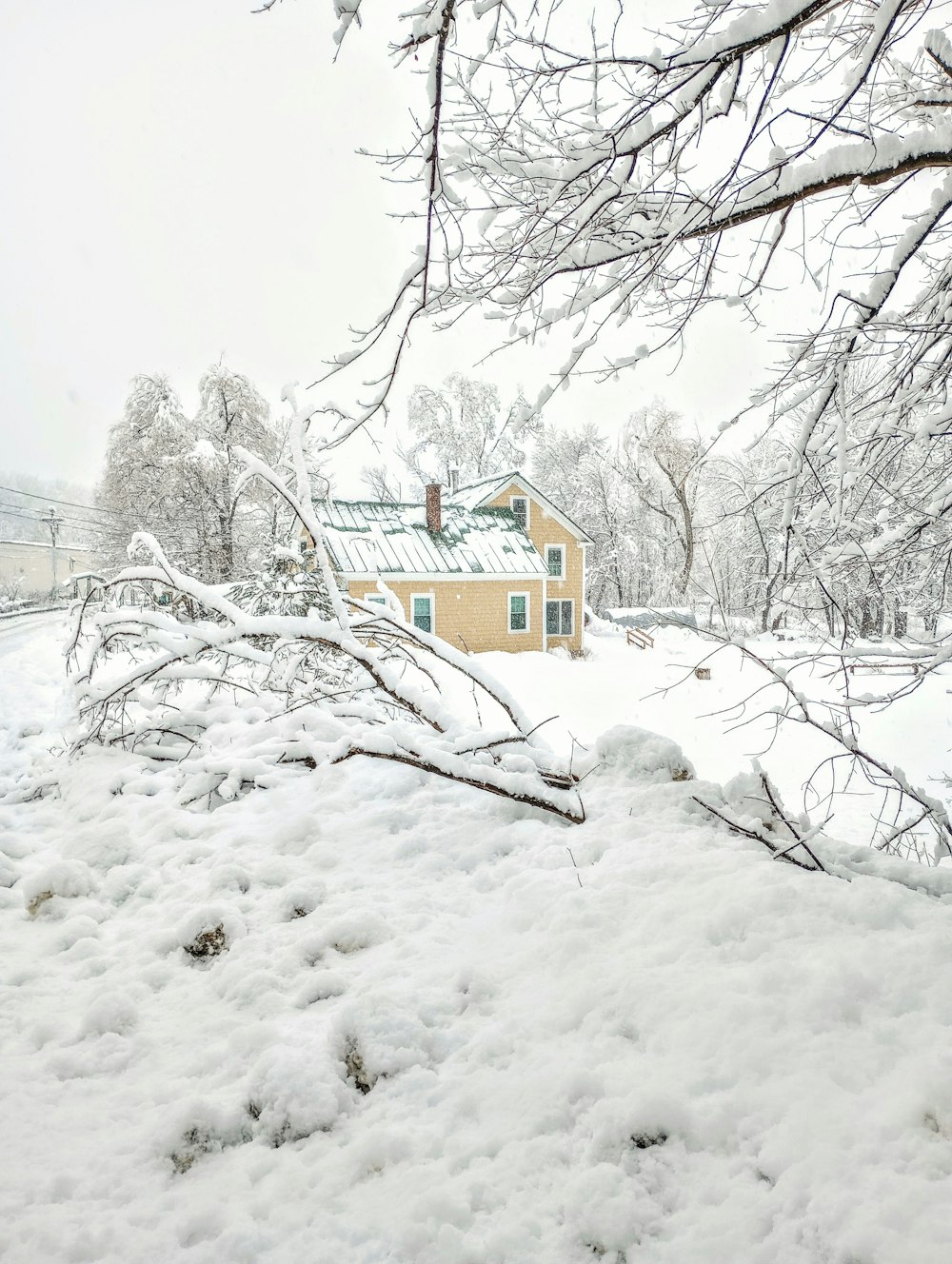 a snow covered field with a house in the background