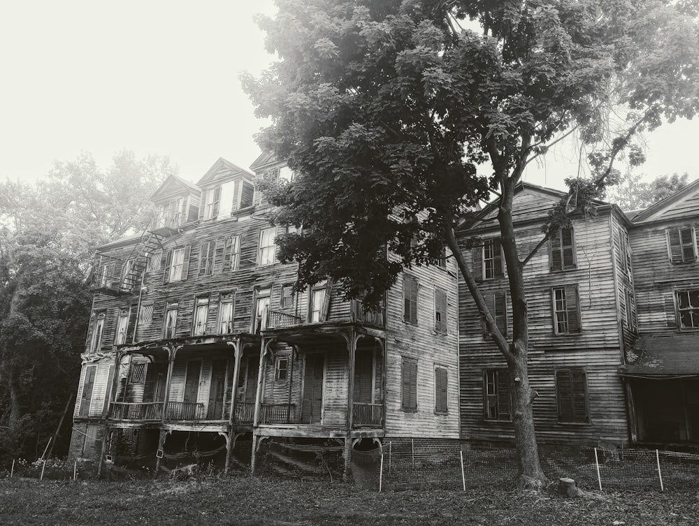 an old house with a tree in front of it