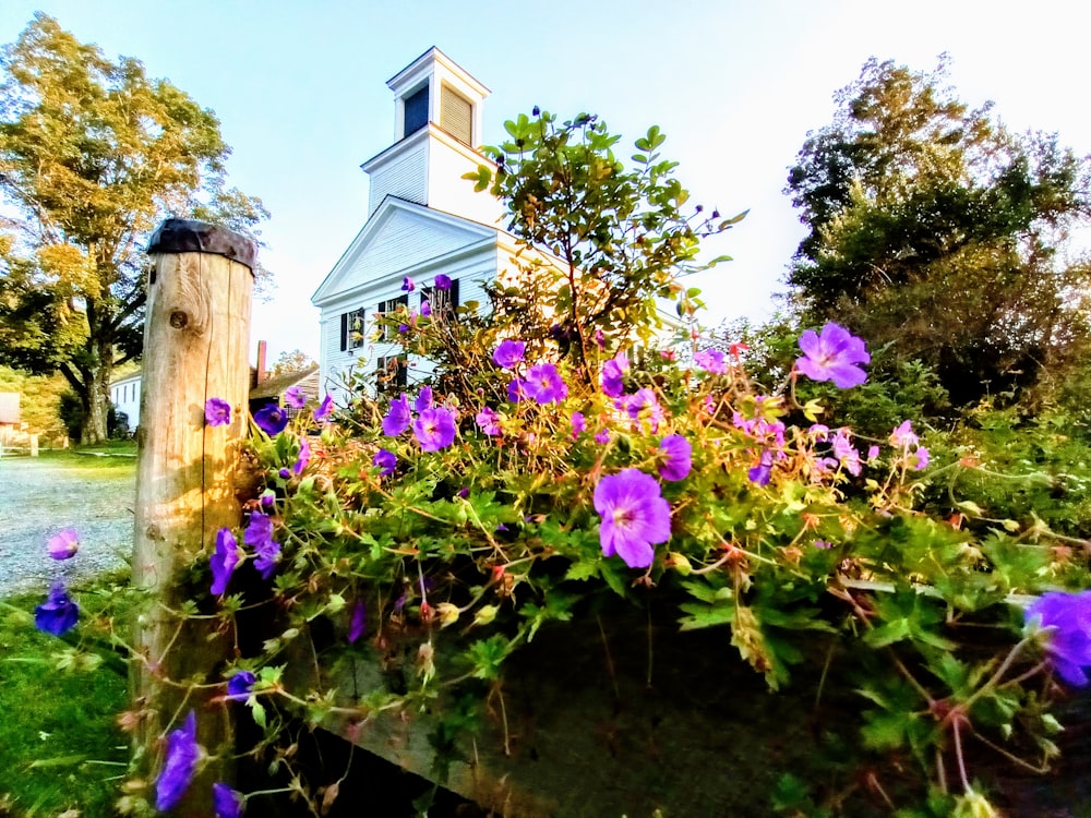 a wooden post with purple flowers in front of a church