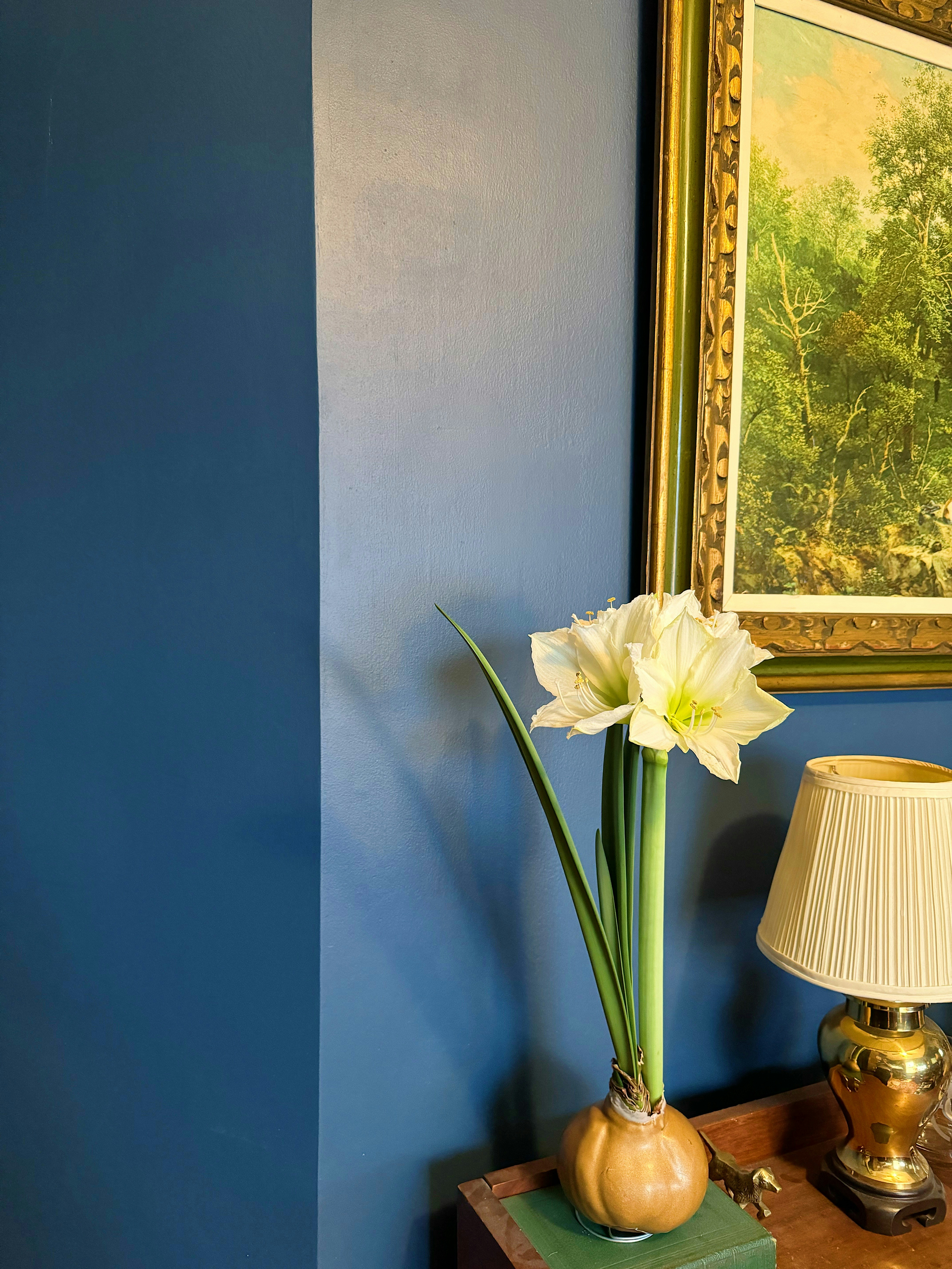 Photo by timelessandtraditional