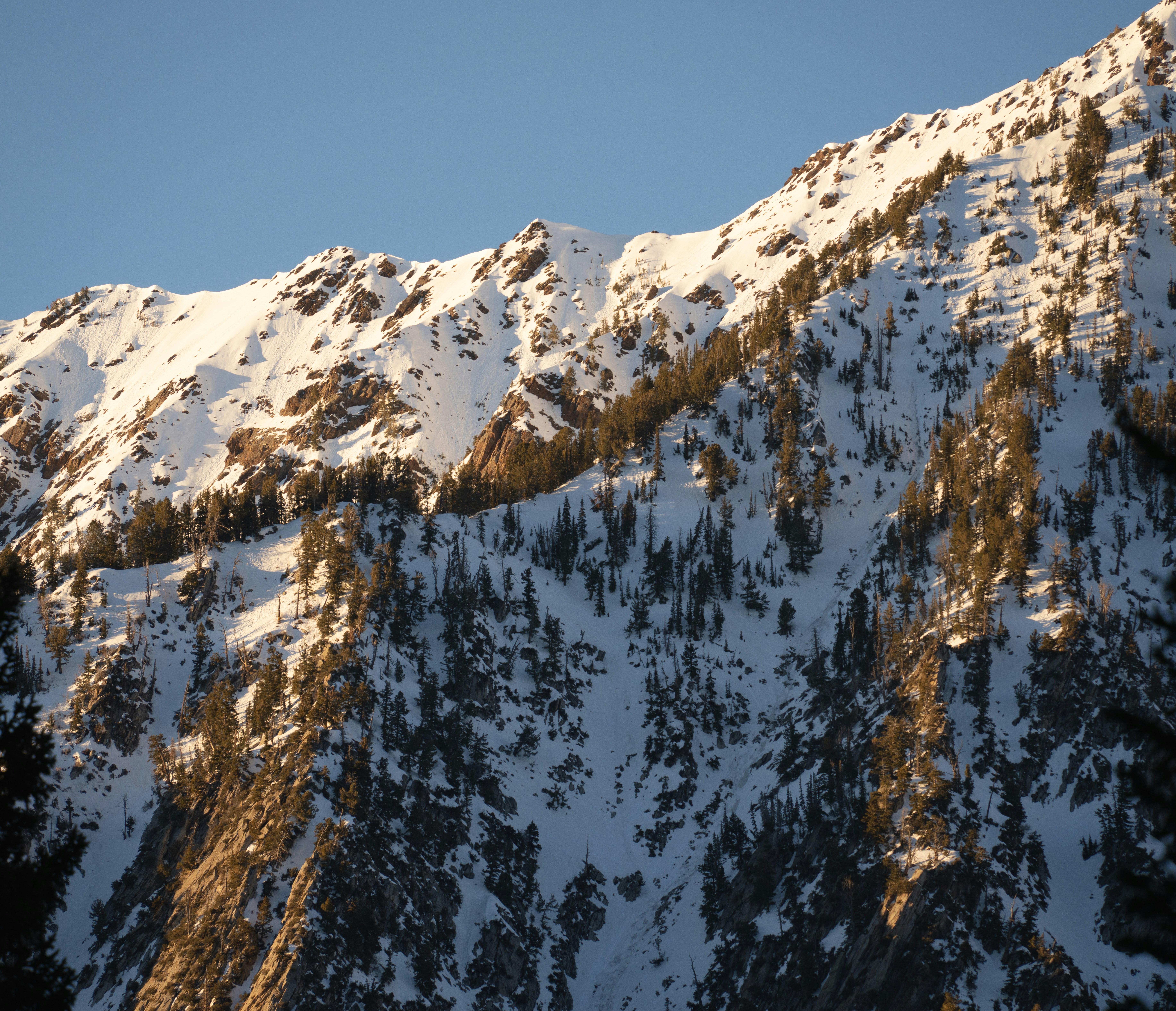 Photo by alexmoliski