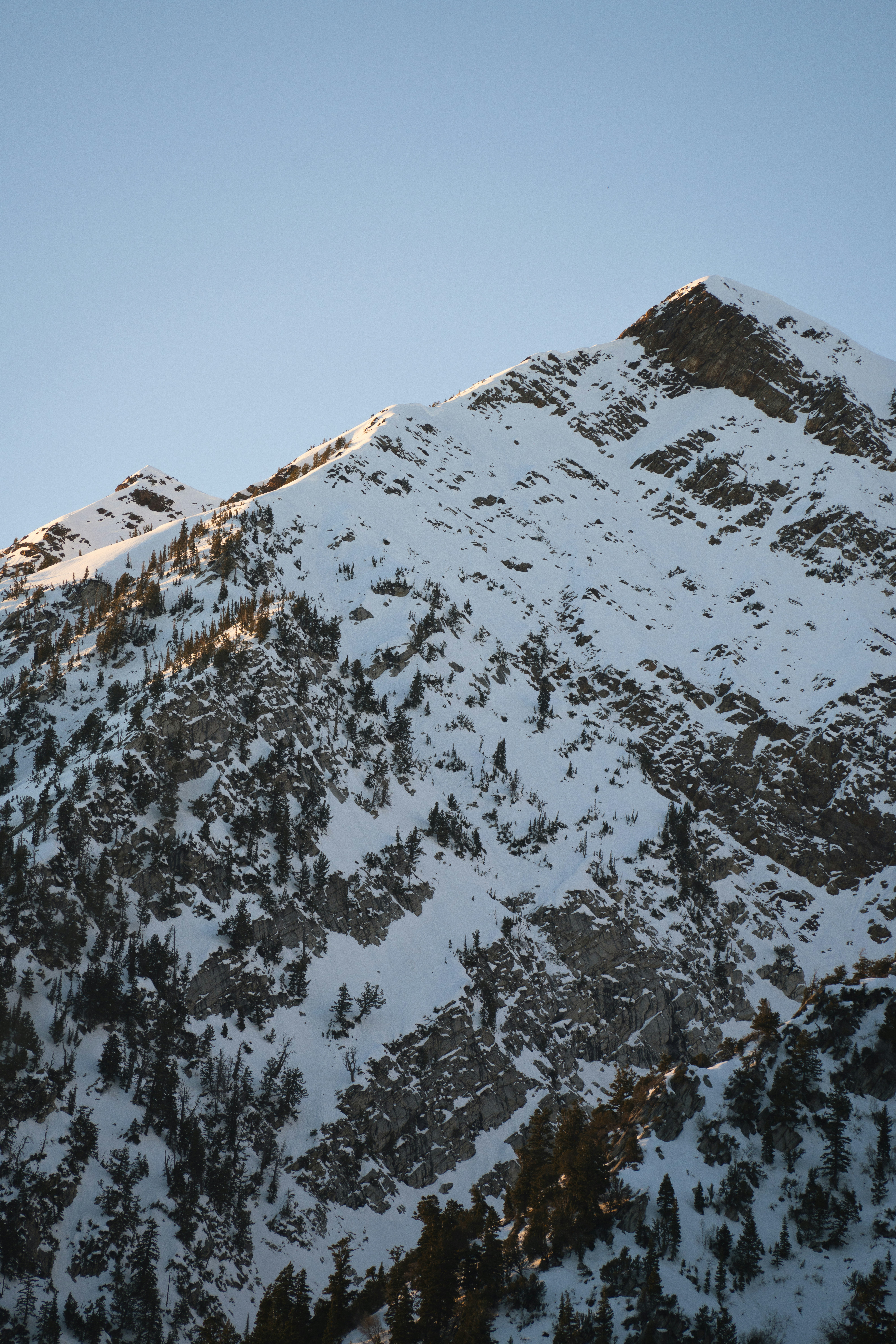 Photo by alexmoliski