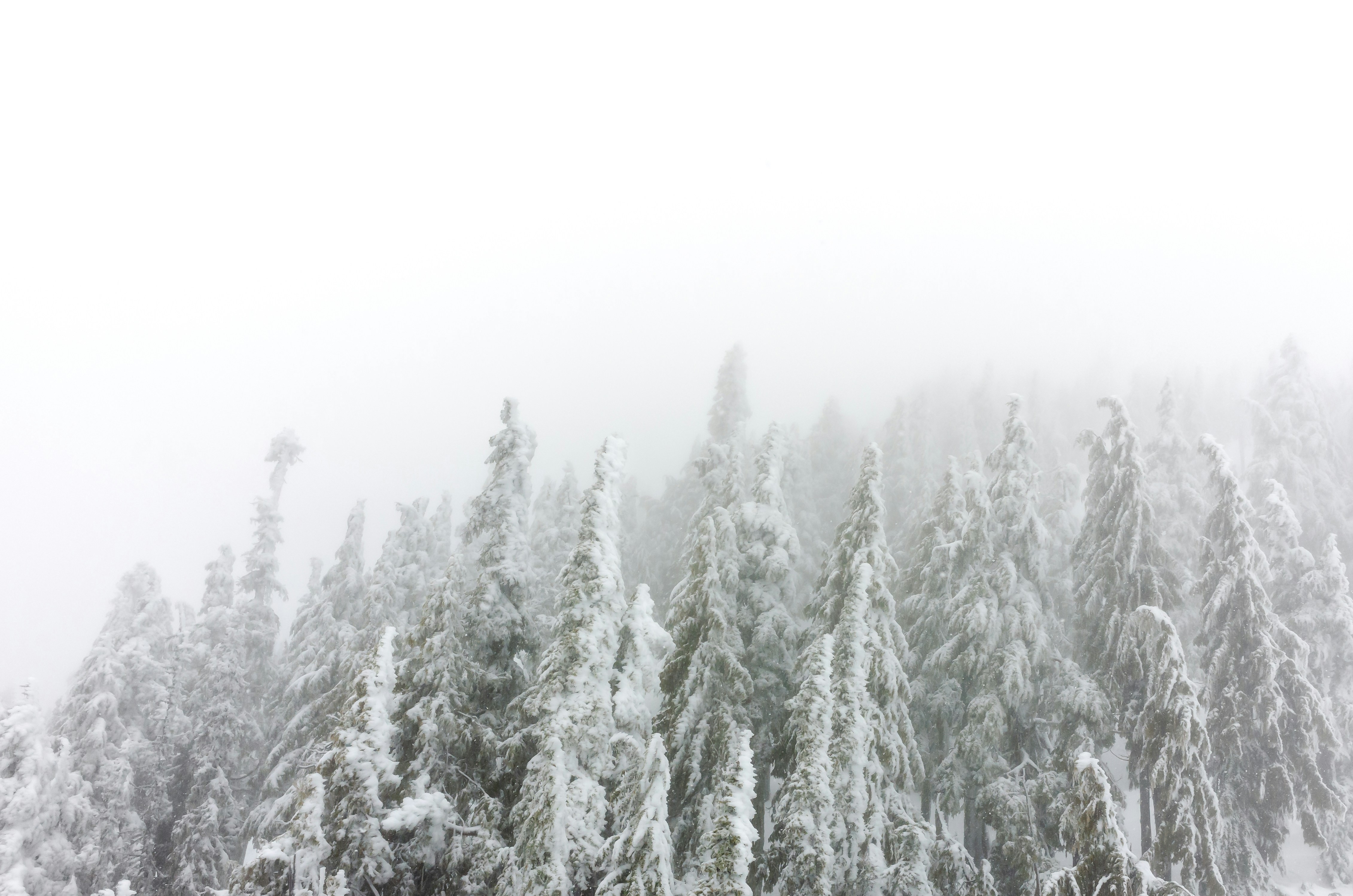 Photo by greg_rosenke