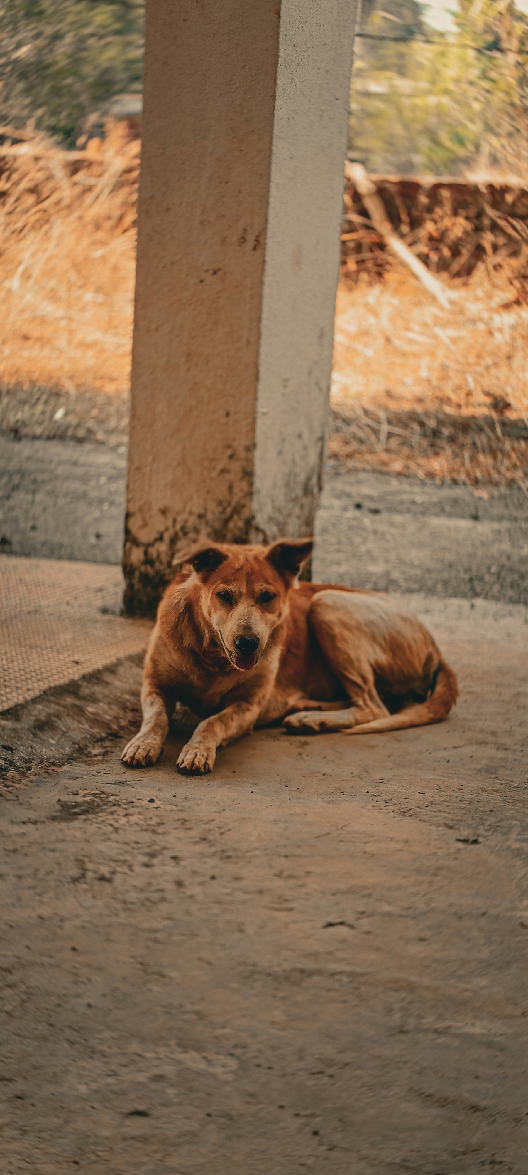 Photo by iam_mrunall