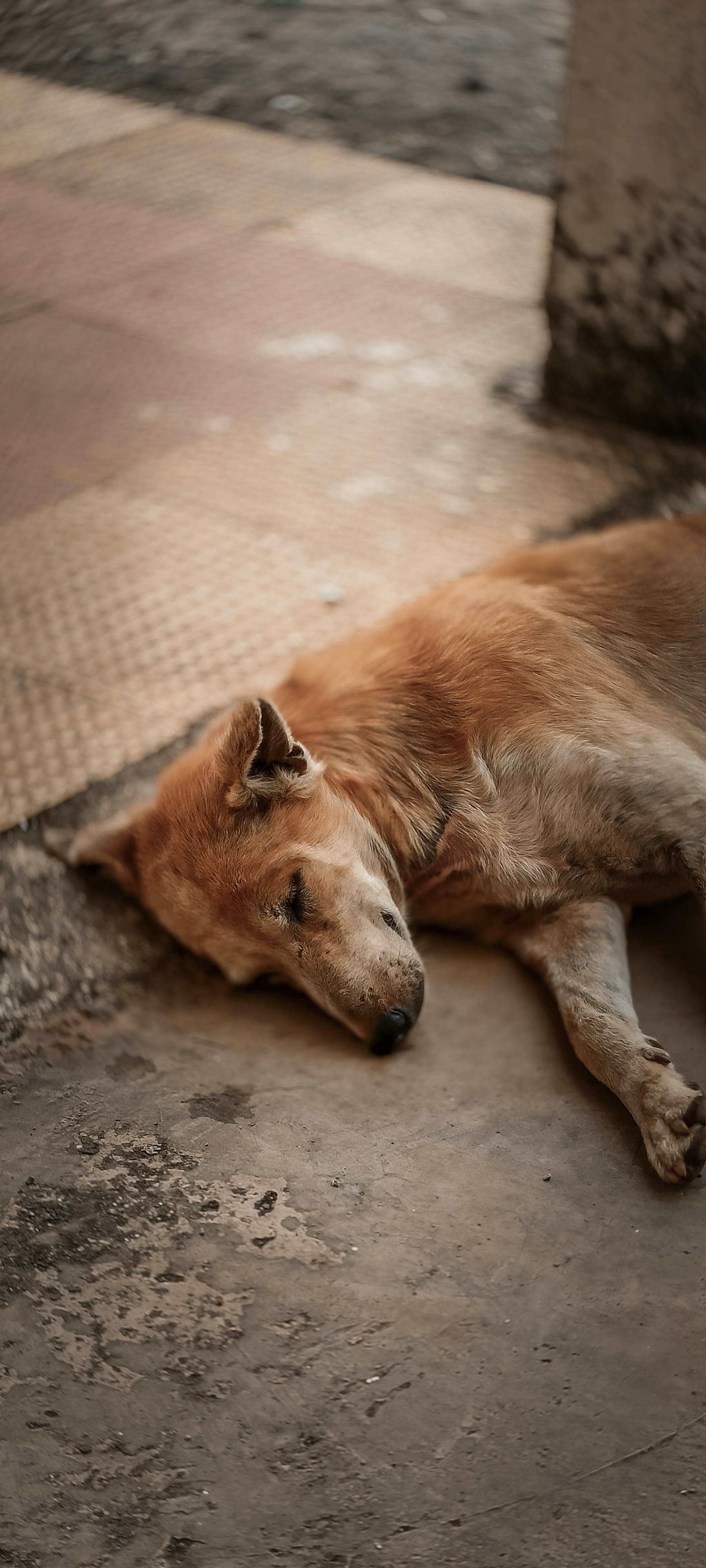 Photo by iam_mrunall