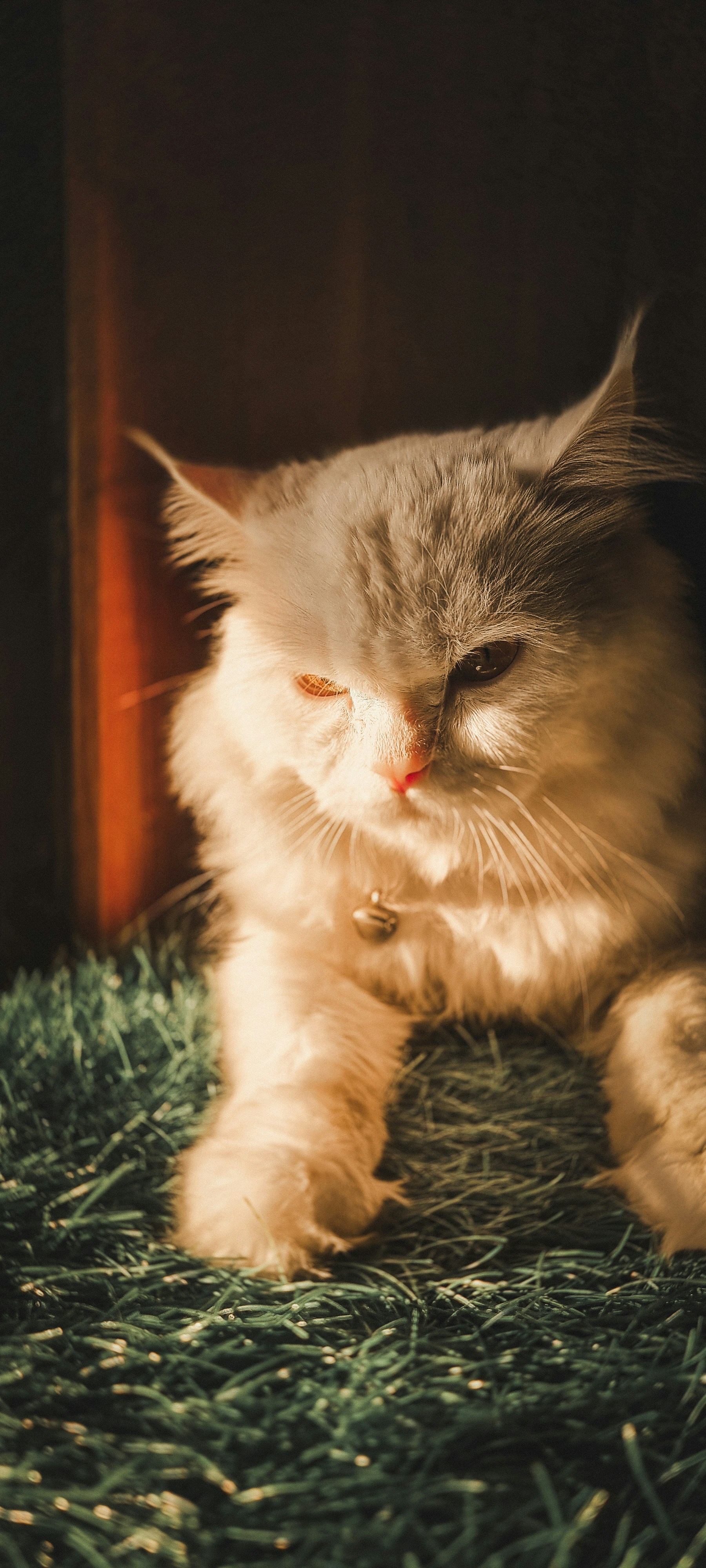 Photo by iam_mrunall