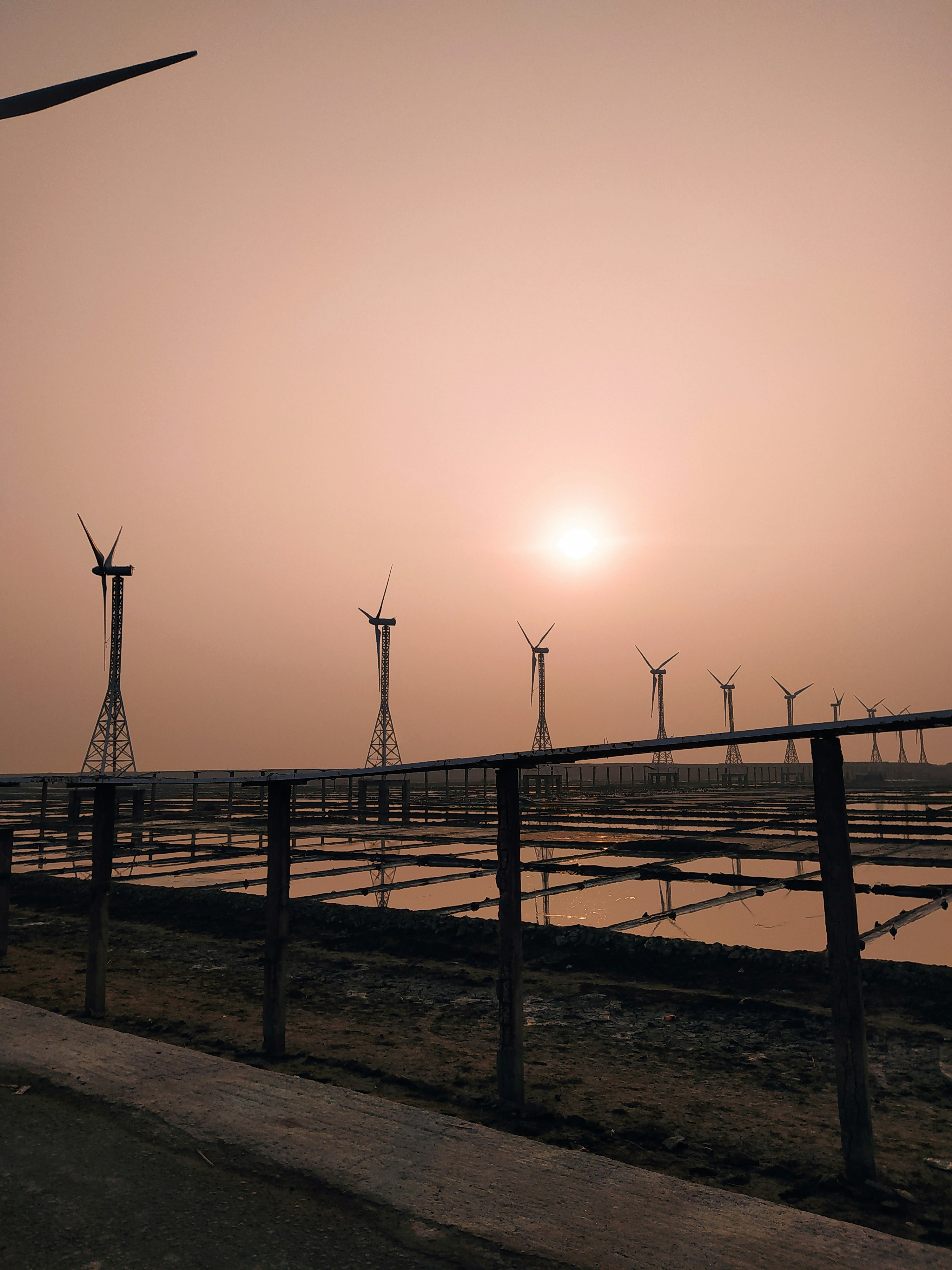 Photo by mustafa_tanim