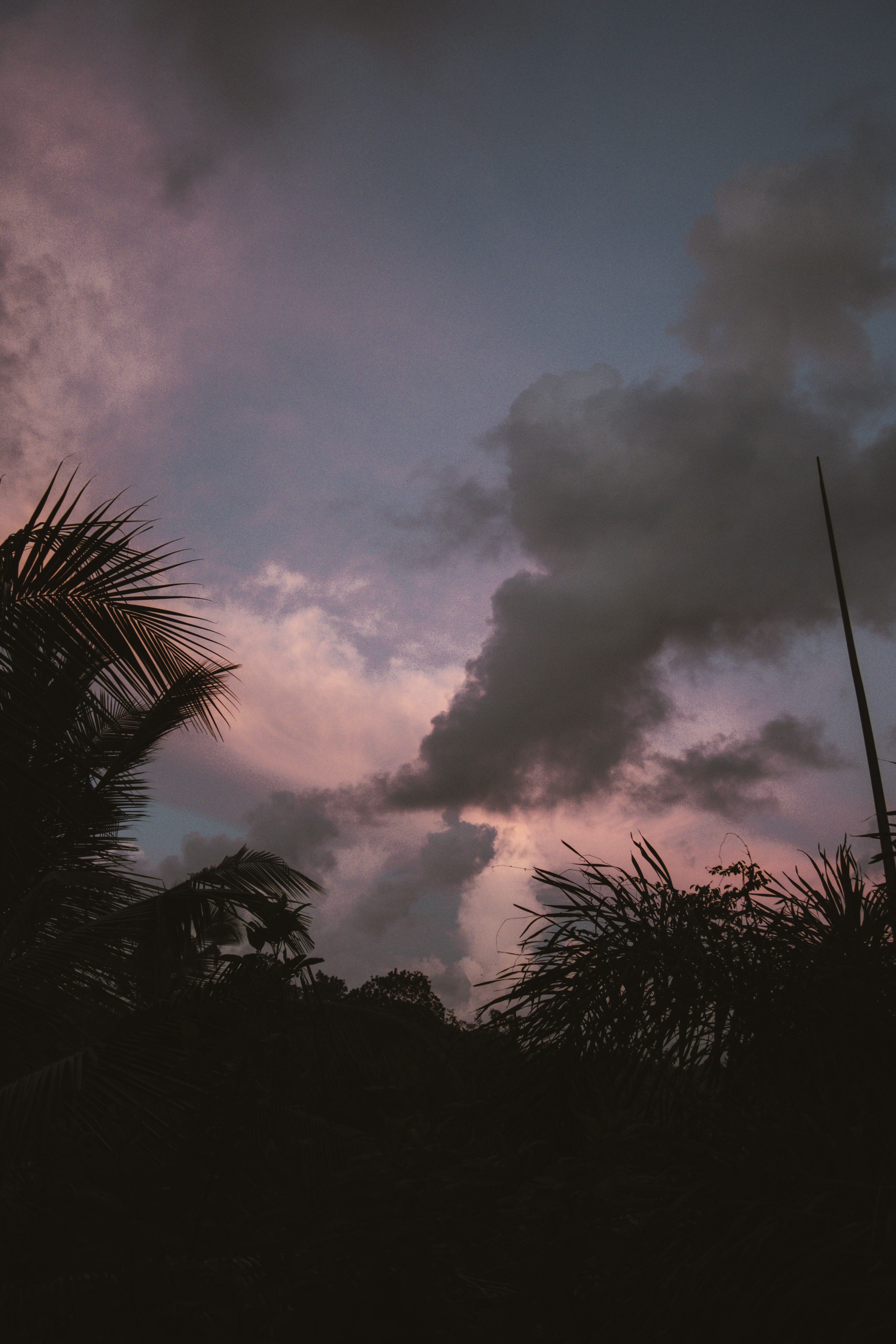 Photo by m0ther_0f_memes