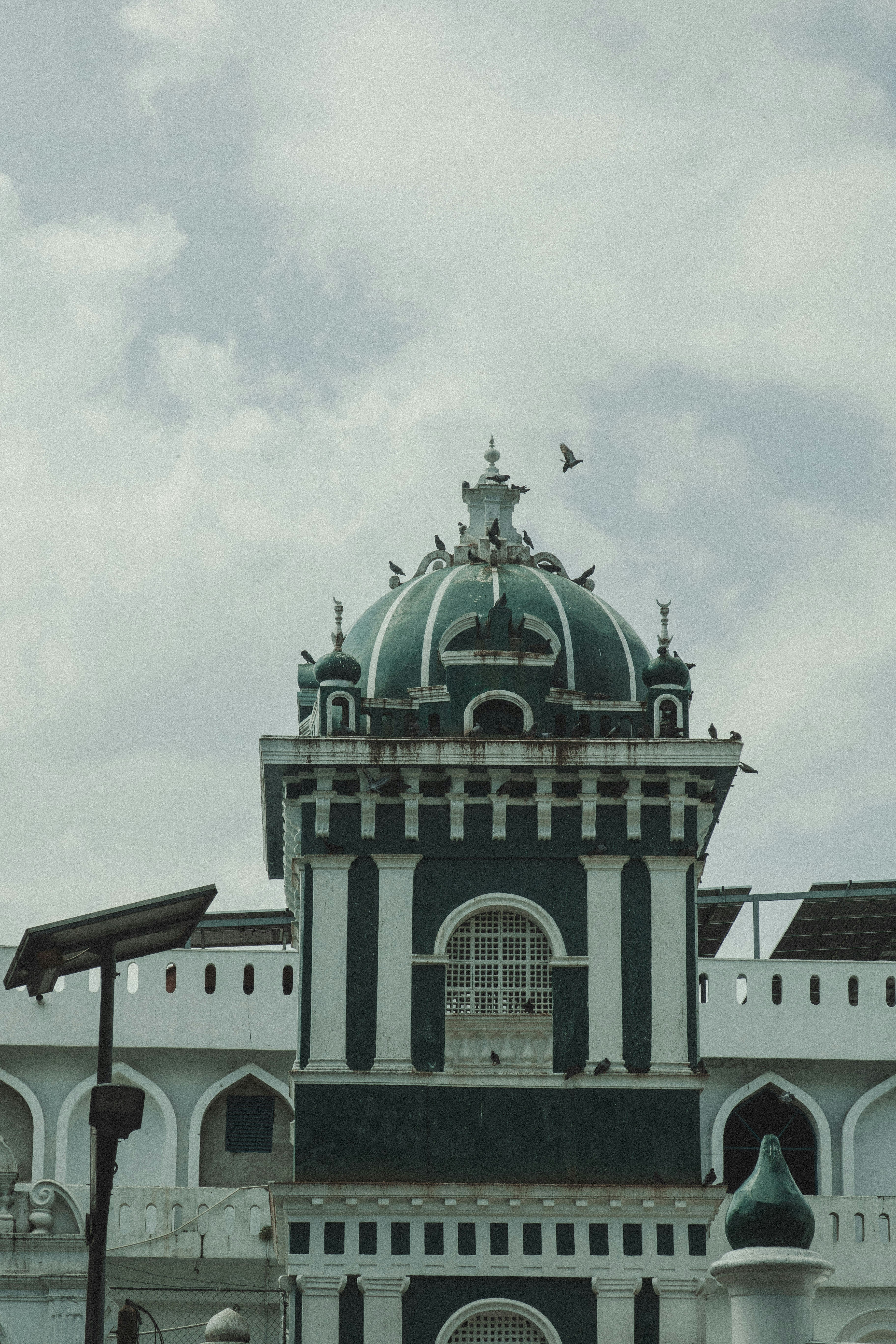 Photo by m0ther_0f_memes