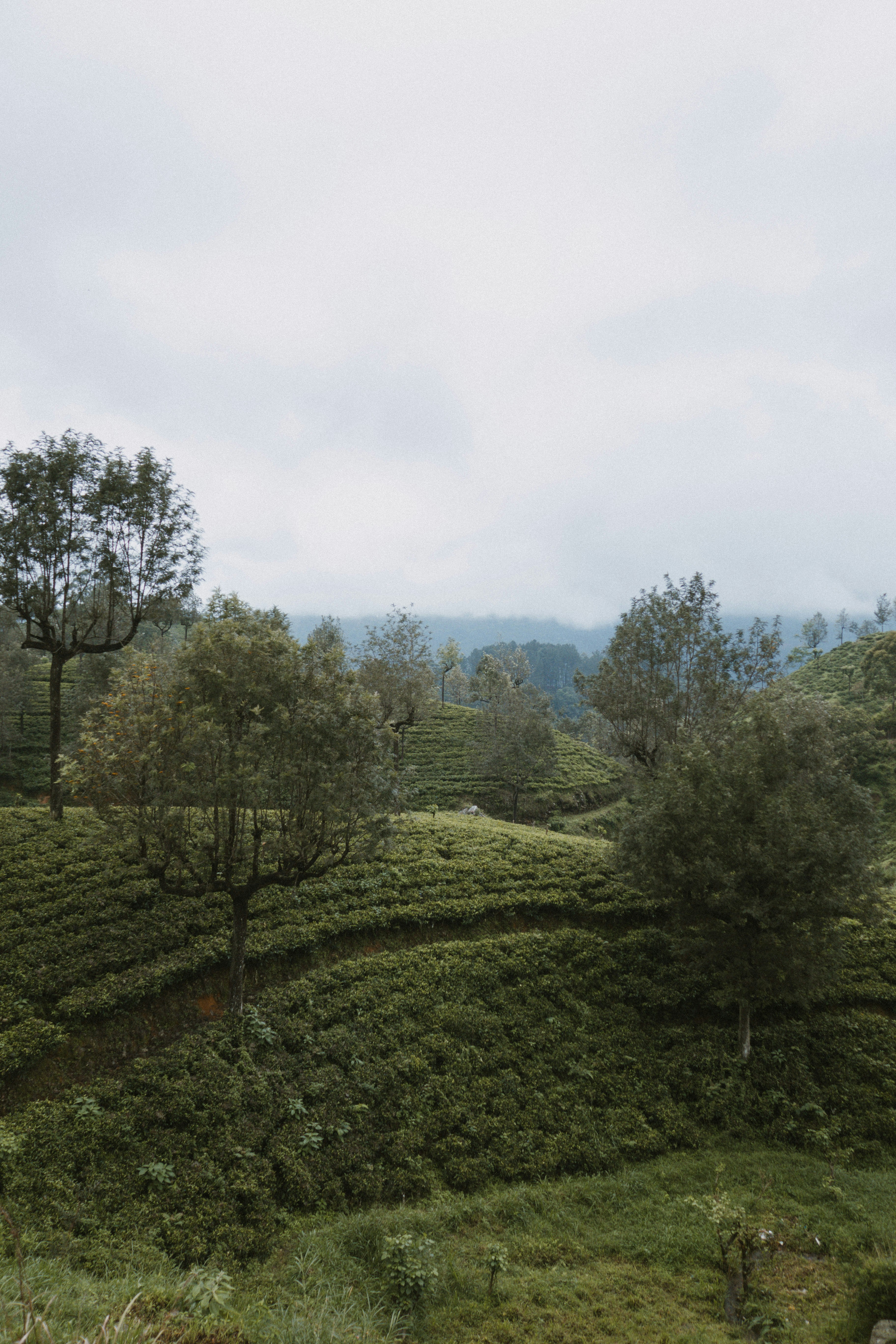 Photo by m0ther_0f_memes