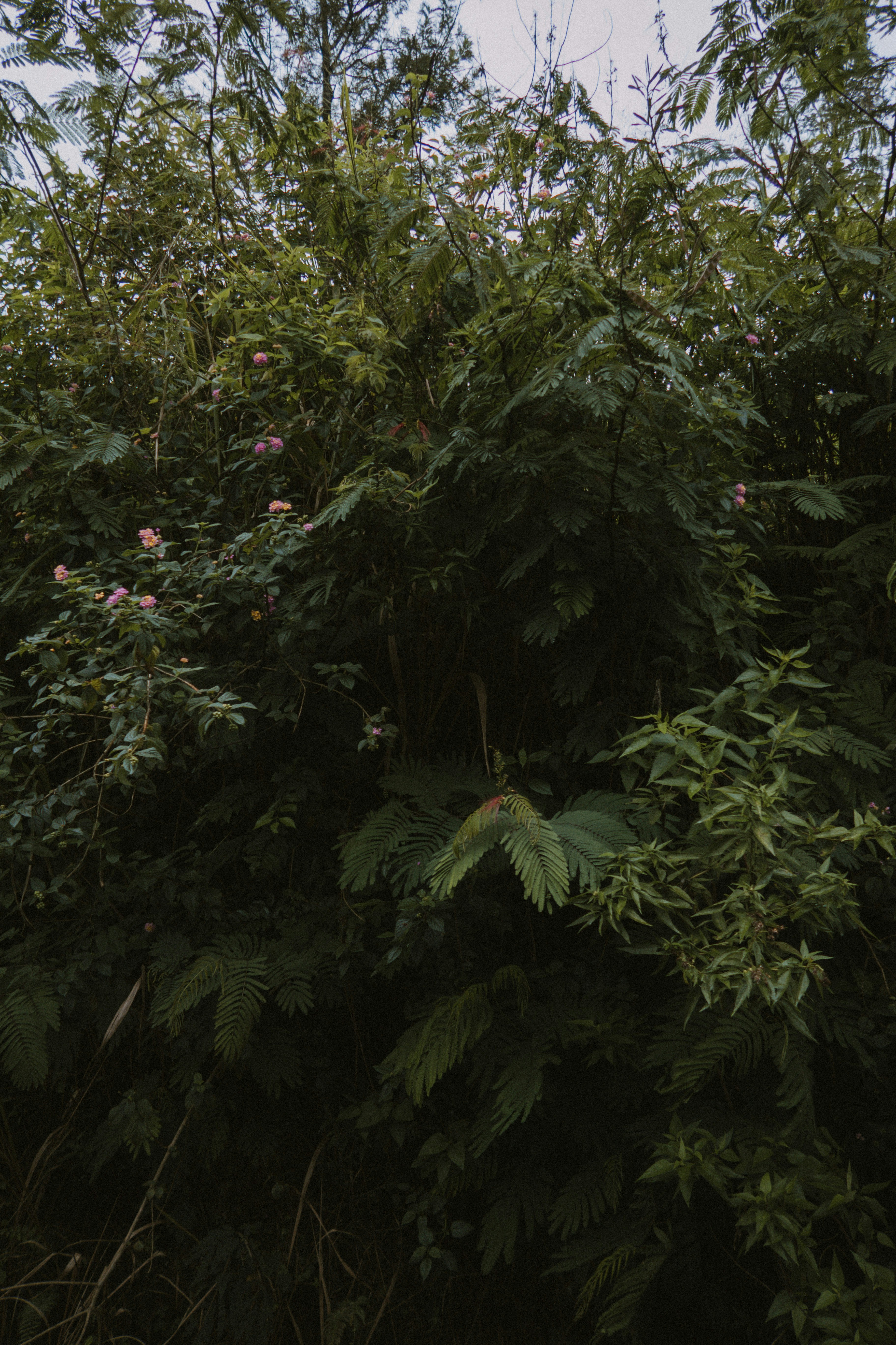 Photo by m0ther_0f_memes