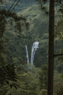 a large waterfall in the middle of a forest