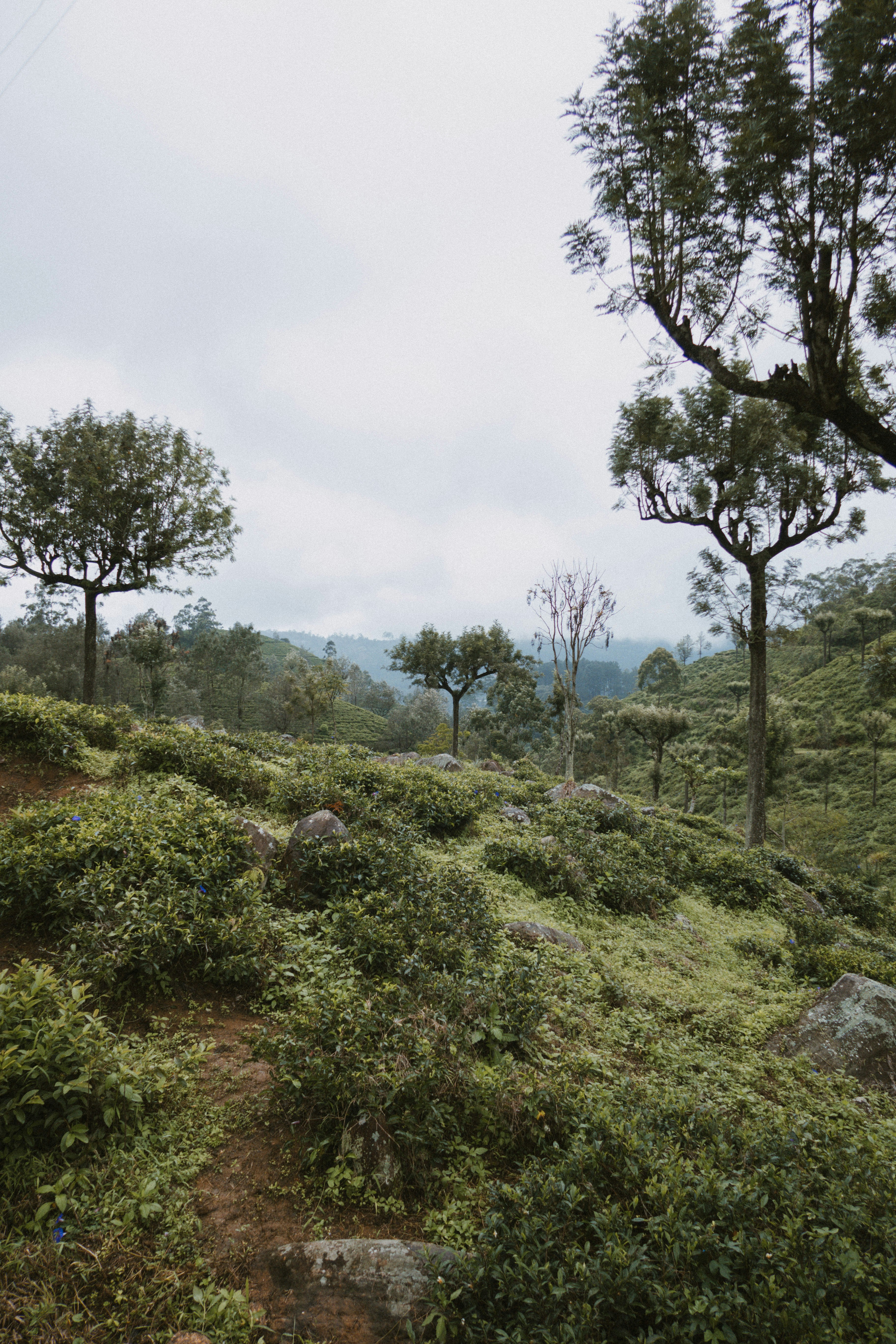 Photo by m0ther_0f_memes