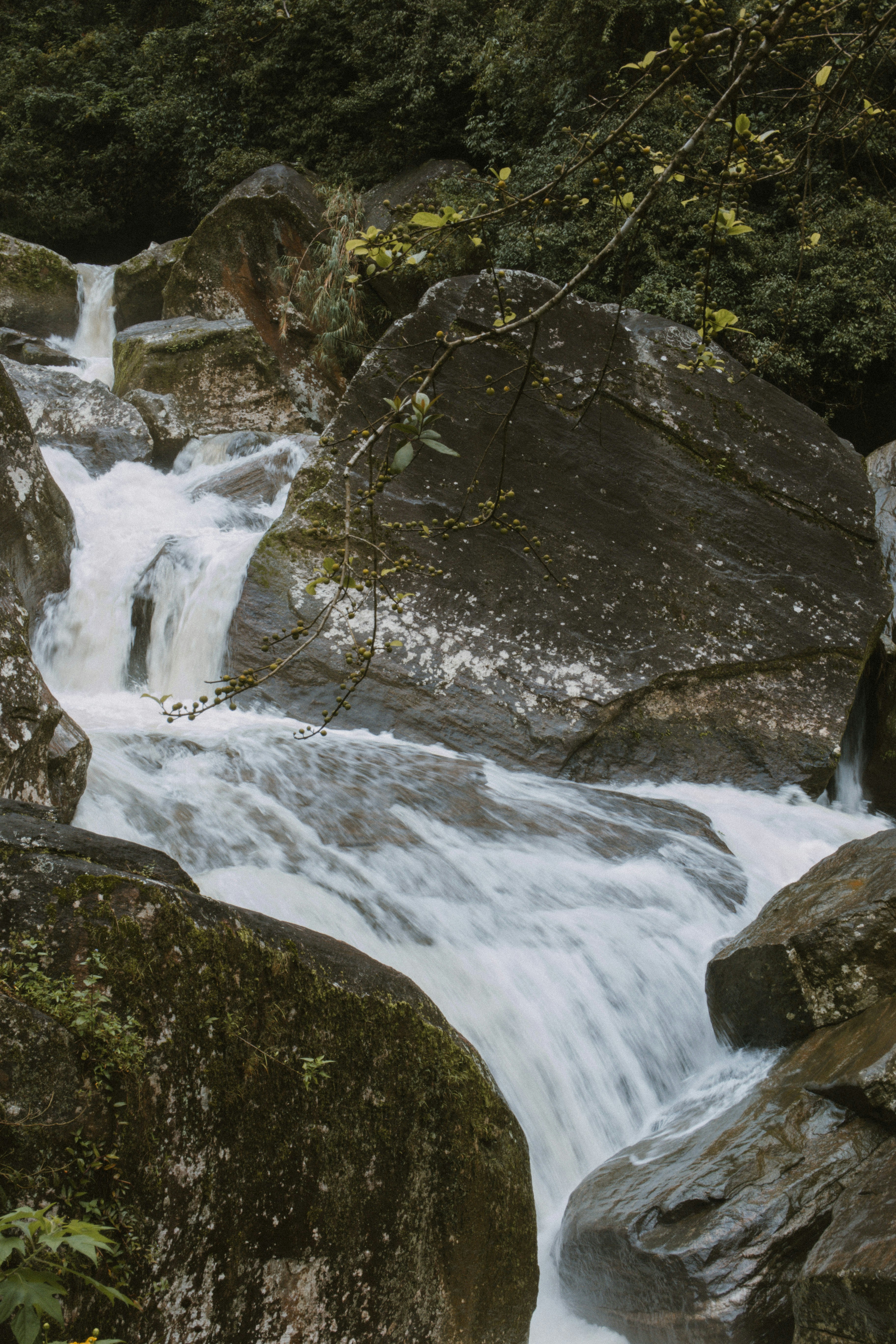 Photo by m0ther_0f_memes