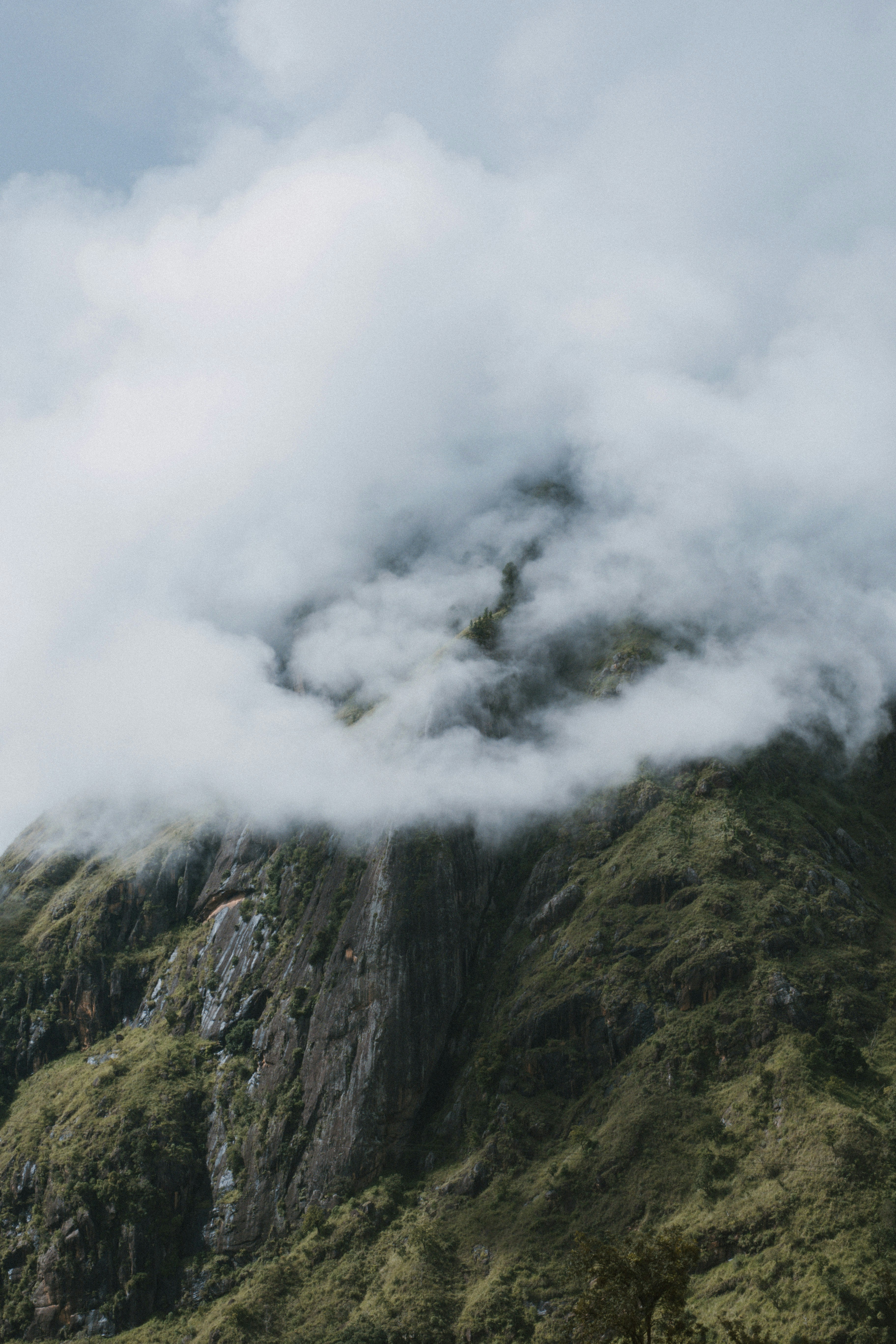 Photo by m0ther_0f_memes