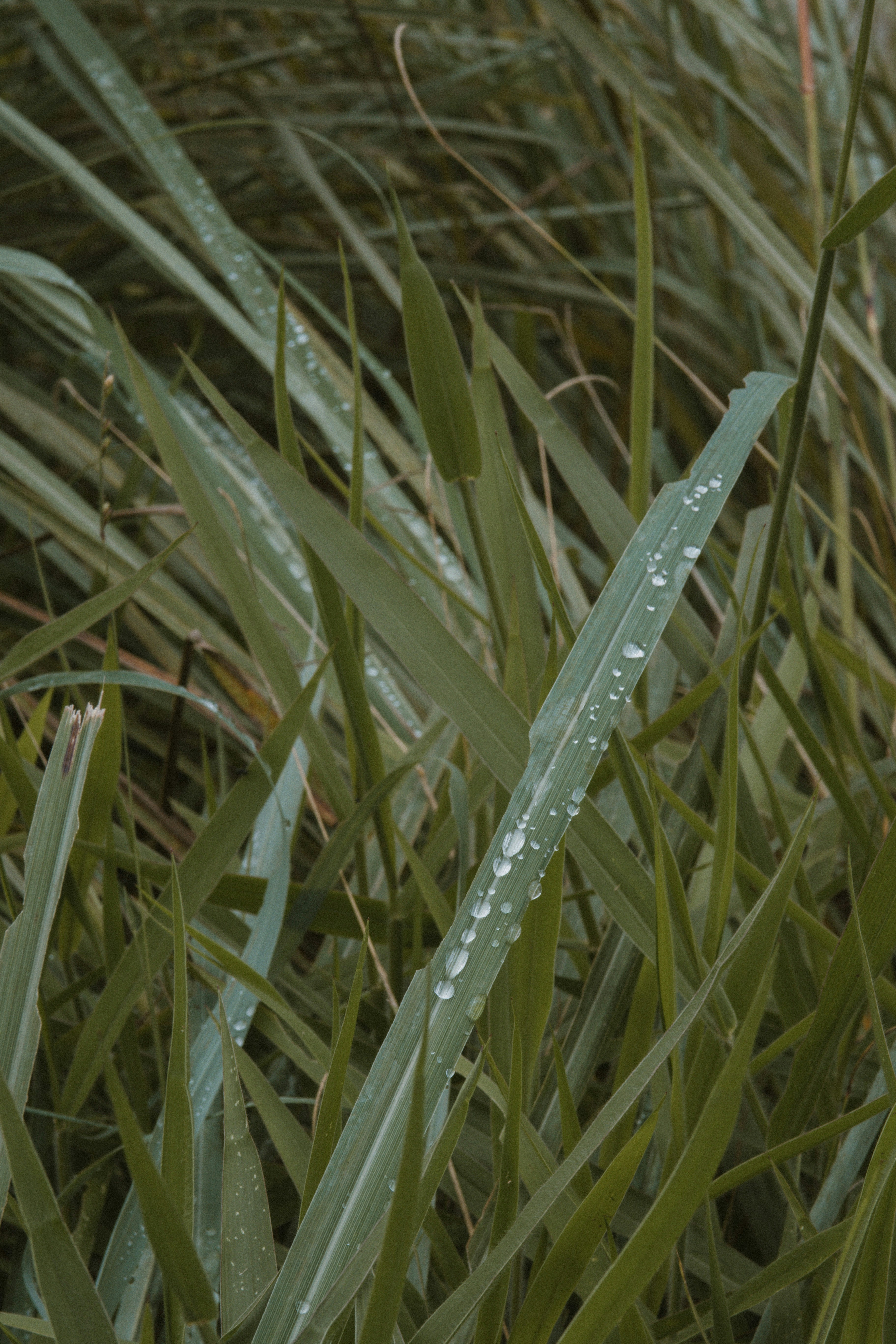 Photo by m0ther_0f_memes