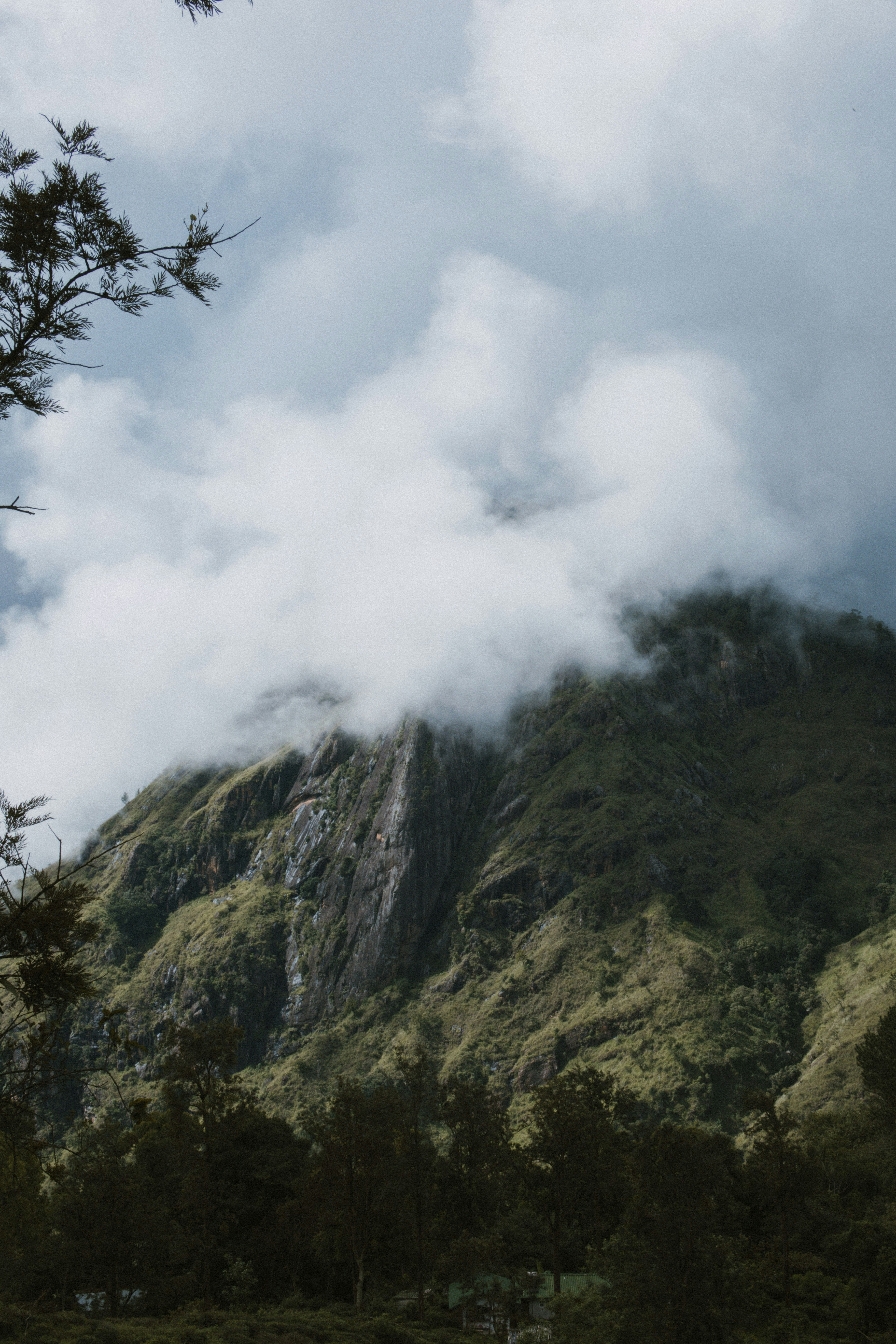 Photo by m0ther_0f_memes