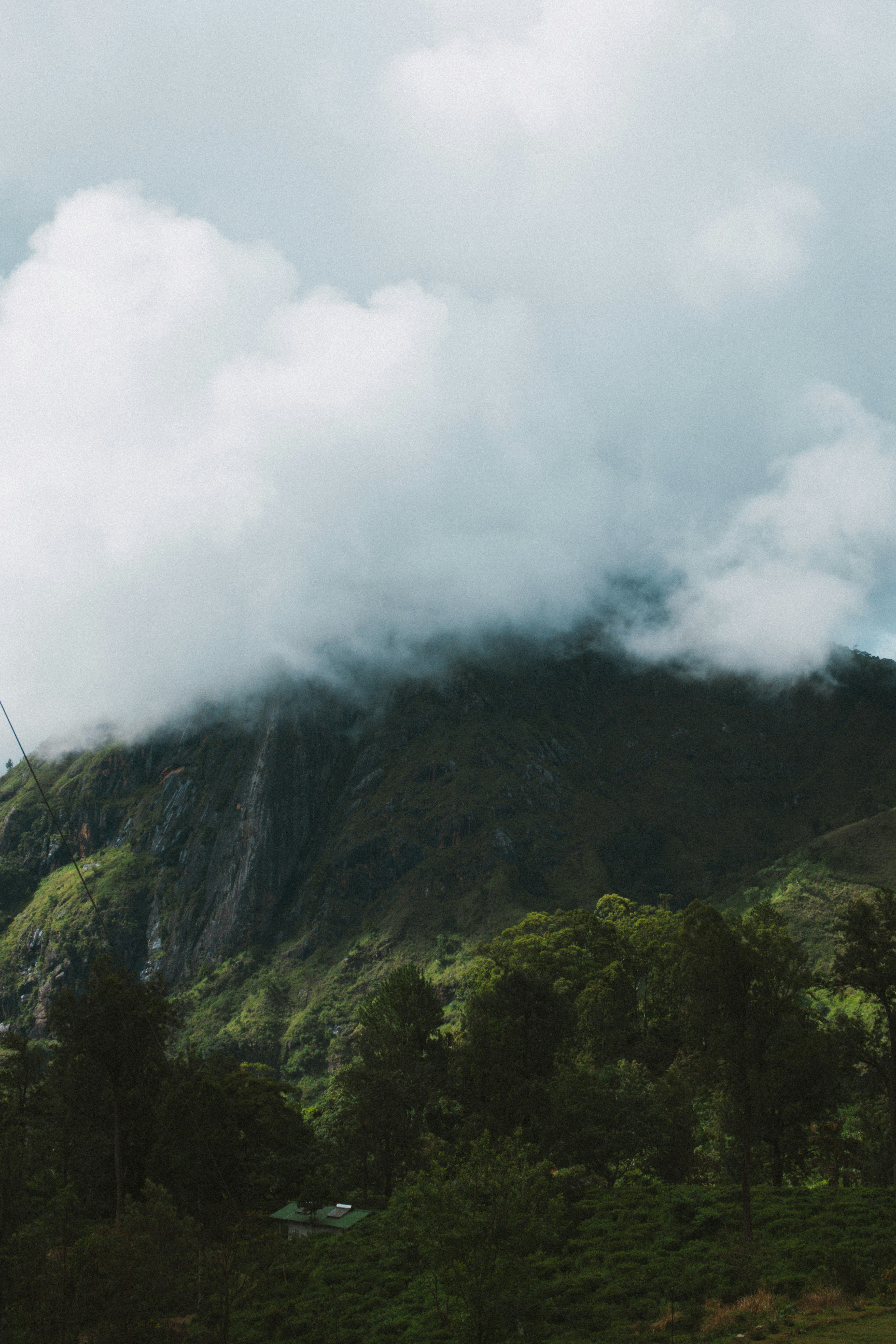 Photo by m0ther_0f_memes