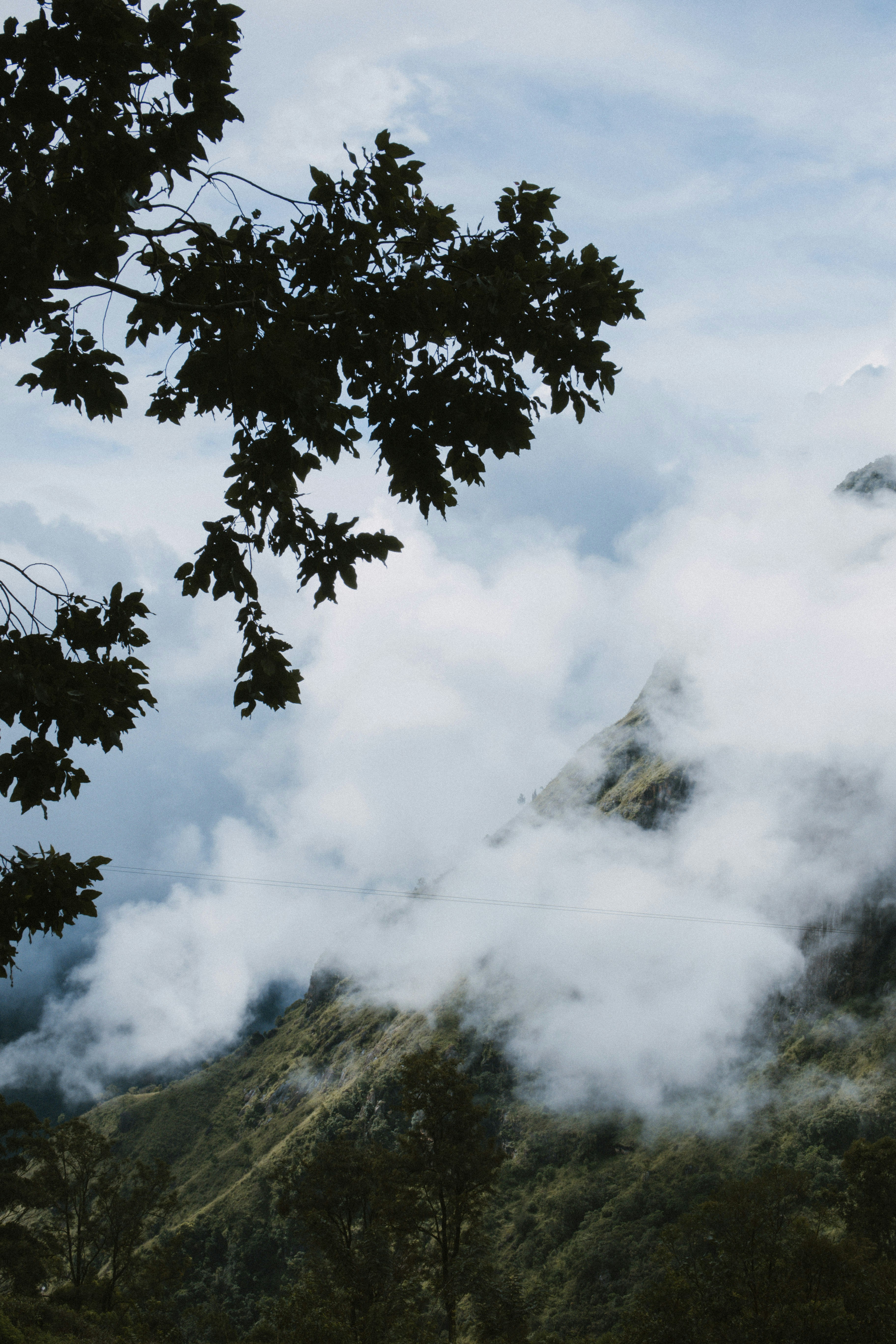 Photo by m0ther_0f_memes