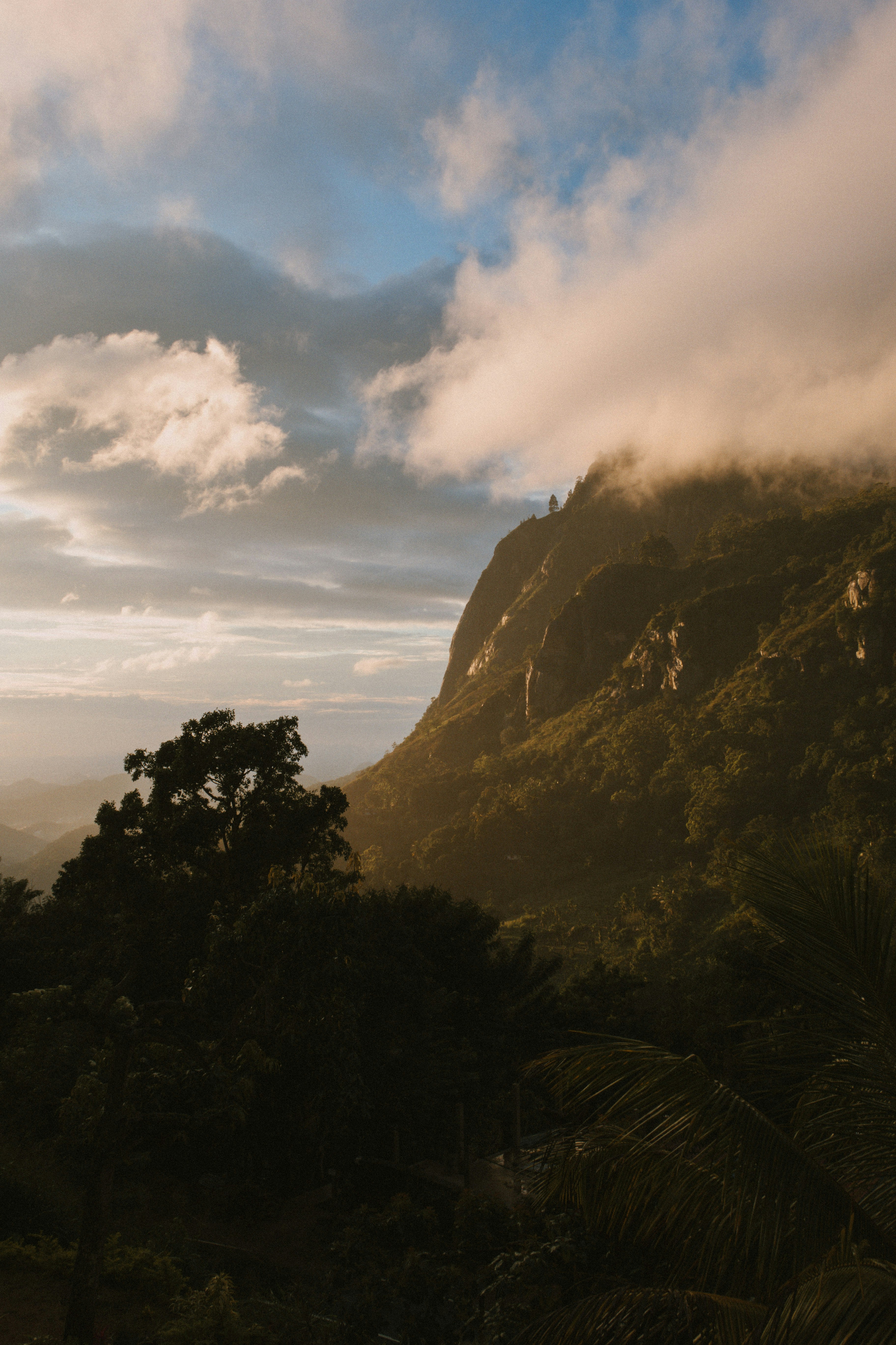 Photo by m0ther_0f_memes