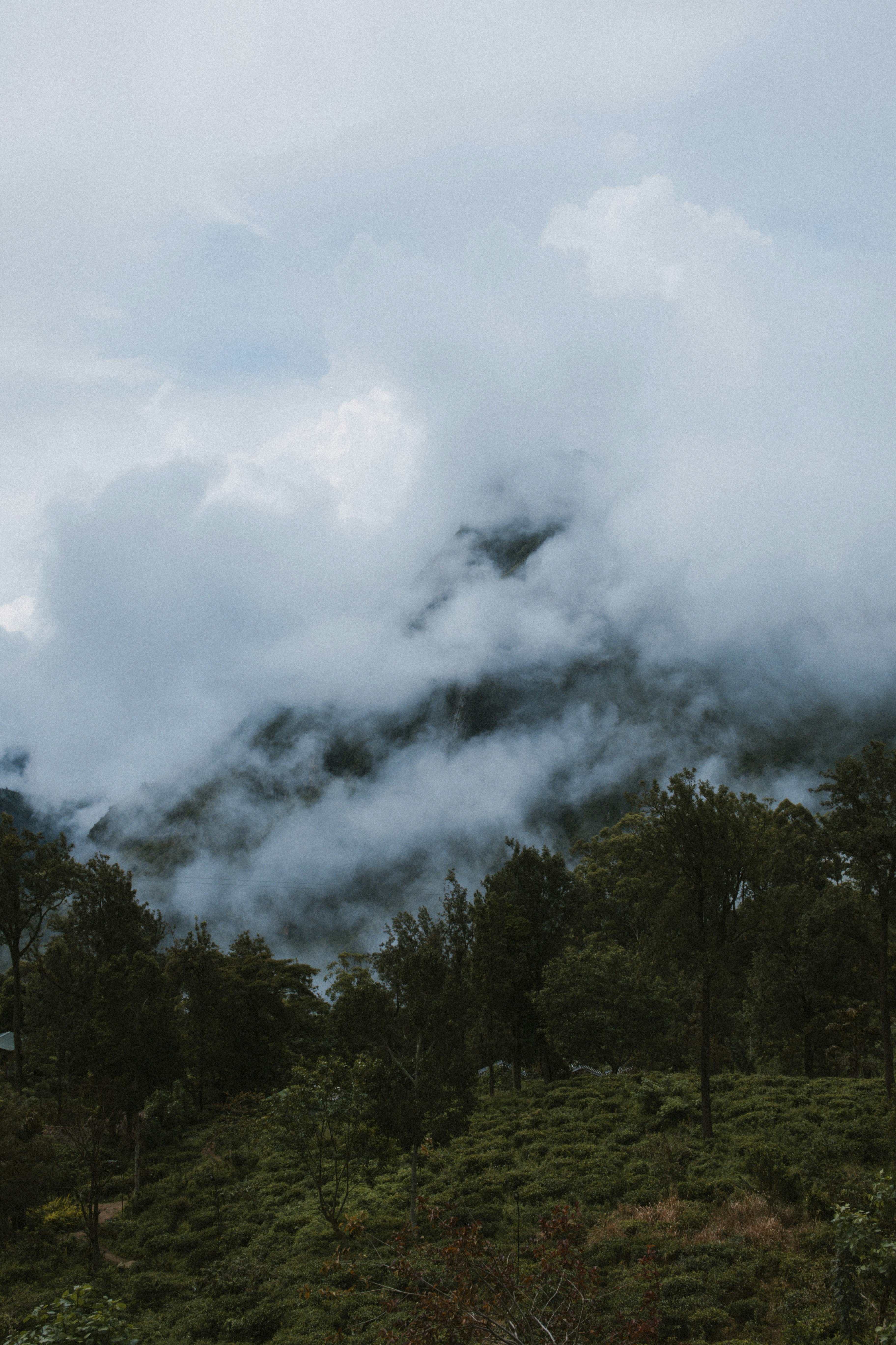 Photo by m0ther_0f_memes