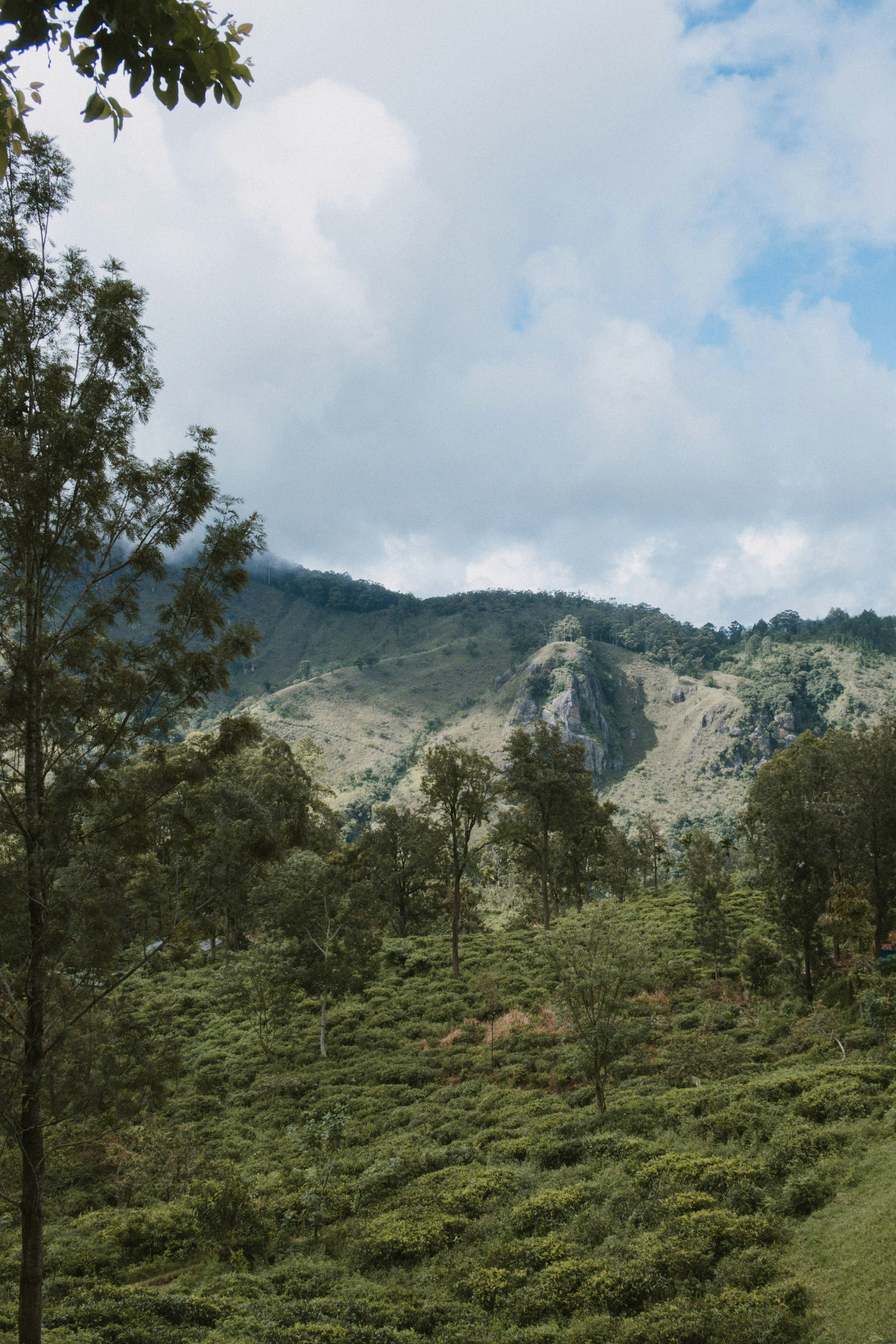 Photo by m0ther_0f_memes