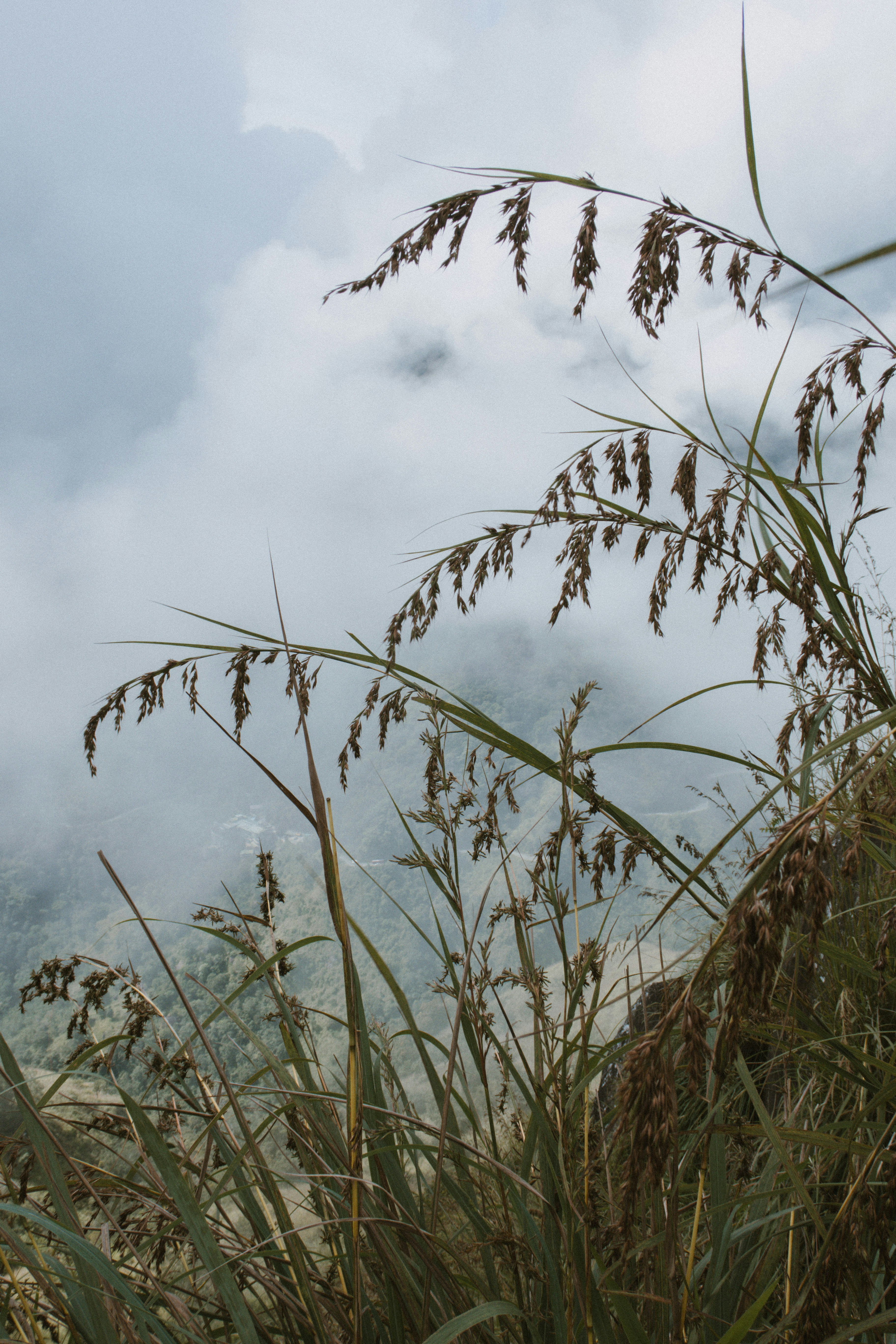 Photo by m0ther_0f_memes